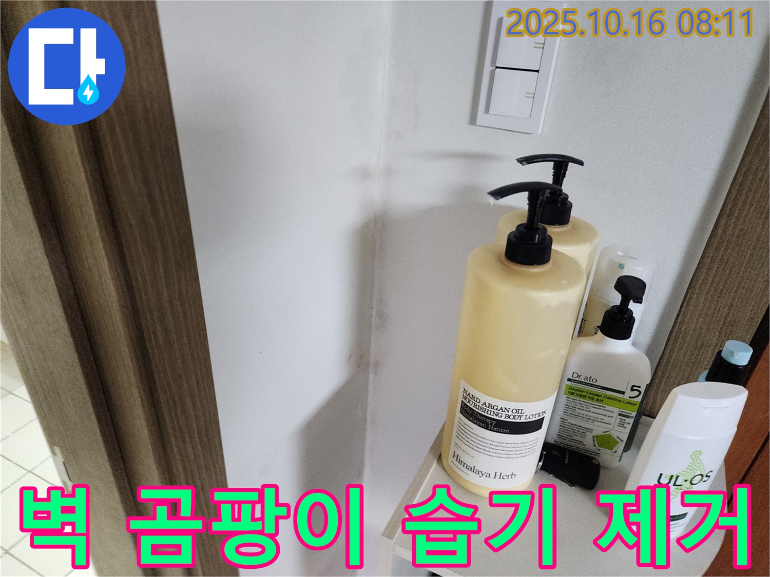 양주시 남면 경신리 욕실 - 벽 곰팡이 - 곰팡이 제거 후 습기 제거에 집중