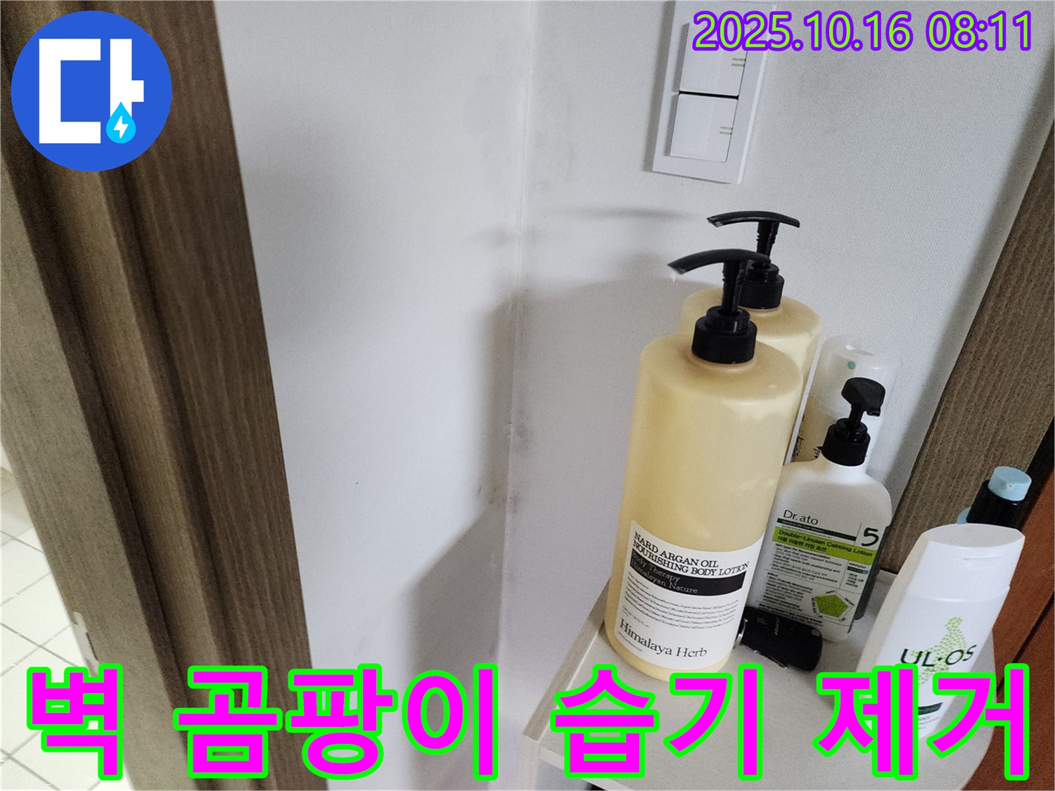양주시 남면 경신리 욕실 - 벽 곰팡이 - 곰팡이 제거 후 습기 제거에 집중