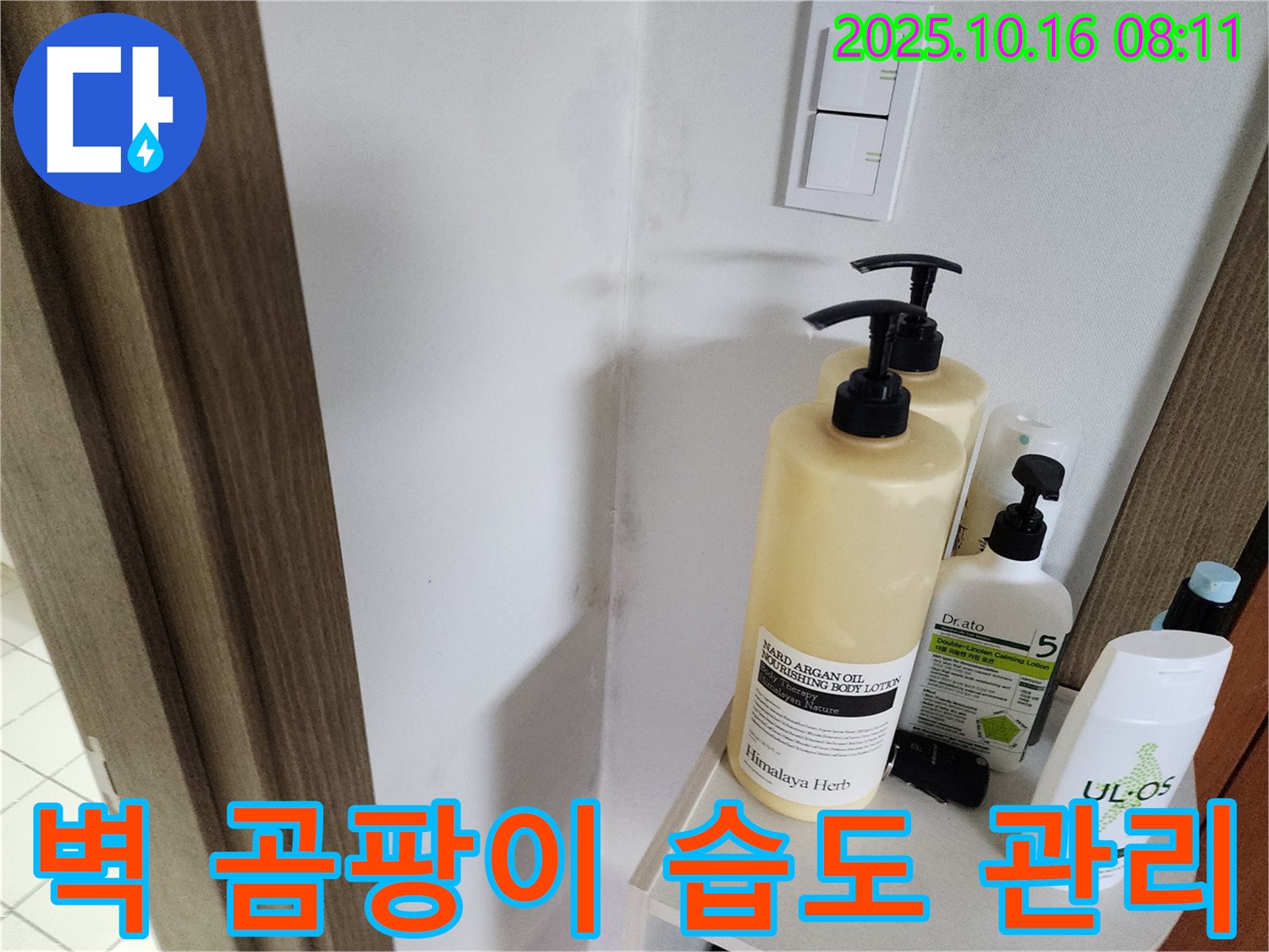 양주시 남면 경신리 욕실 - 벽 곰팡이 - 곰팡이 제거 후 습도 관리에 집중