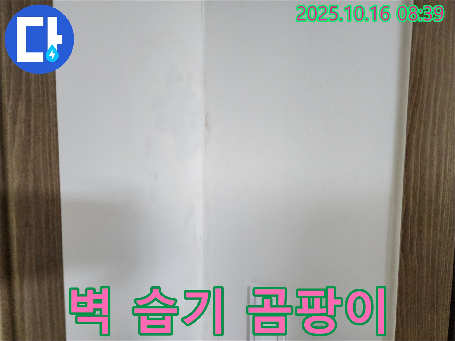 양주시 남면 경신리 주택 벽 모서리 습기 - 곰팡이 은밀한 속삭임, 긴급 누수 탐지