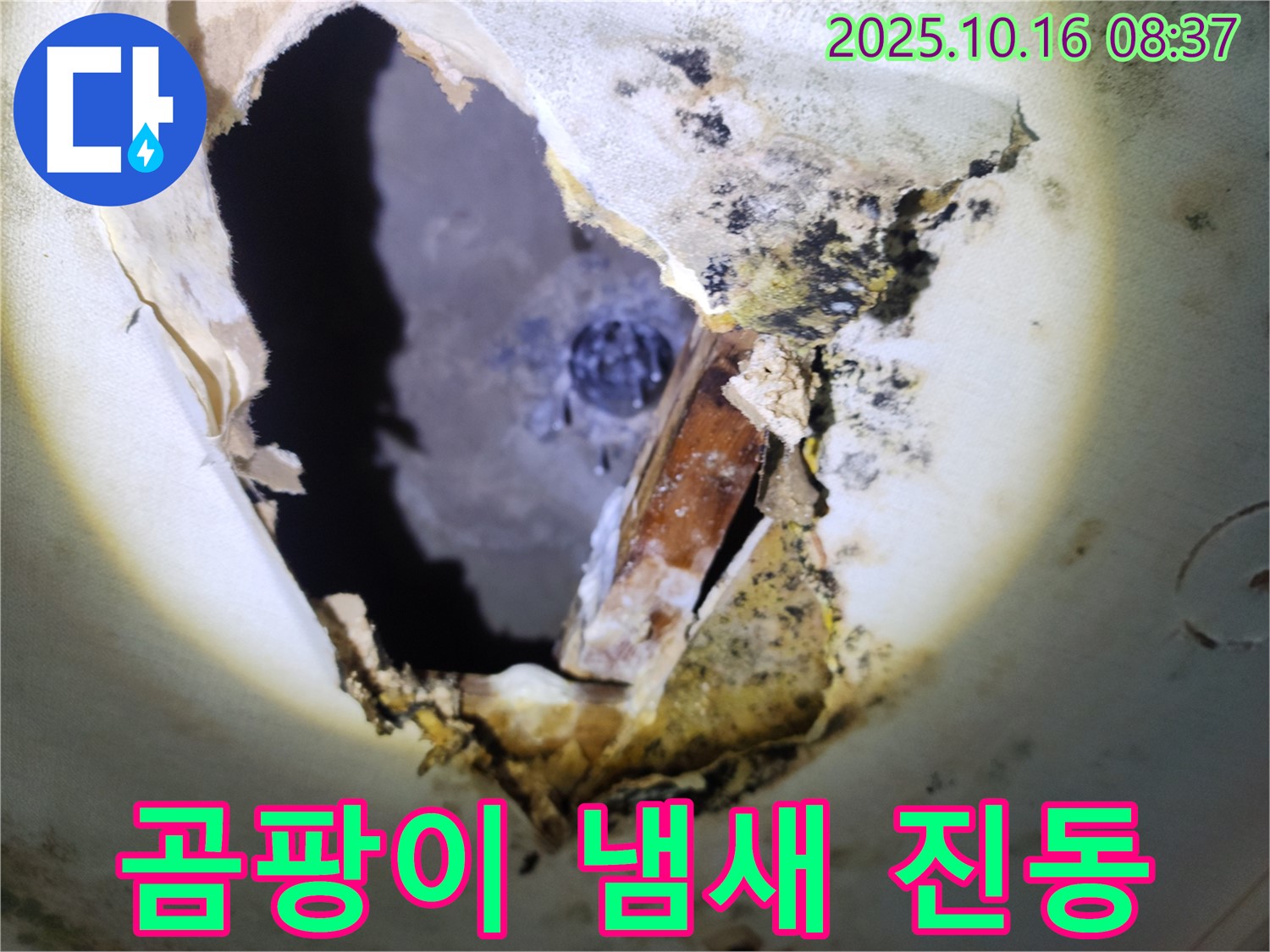 양주시 남면 경신리 주택 천장 - 곰팡이 천장, 악취와 곰팡이 냄새가 진동합니다!