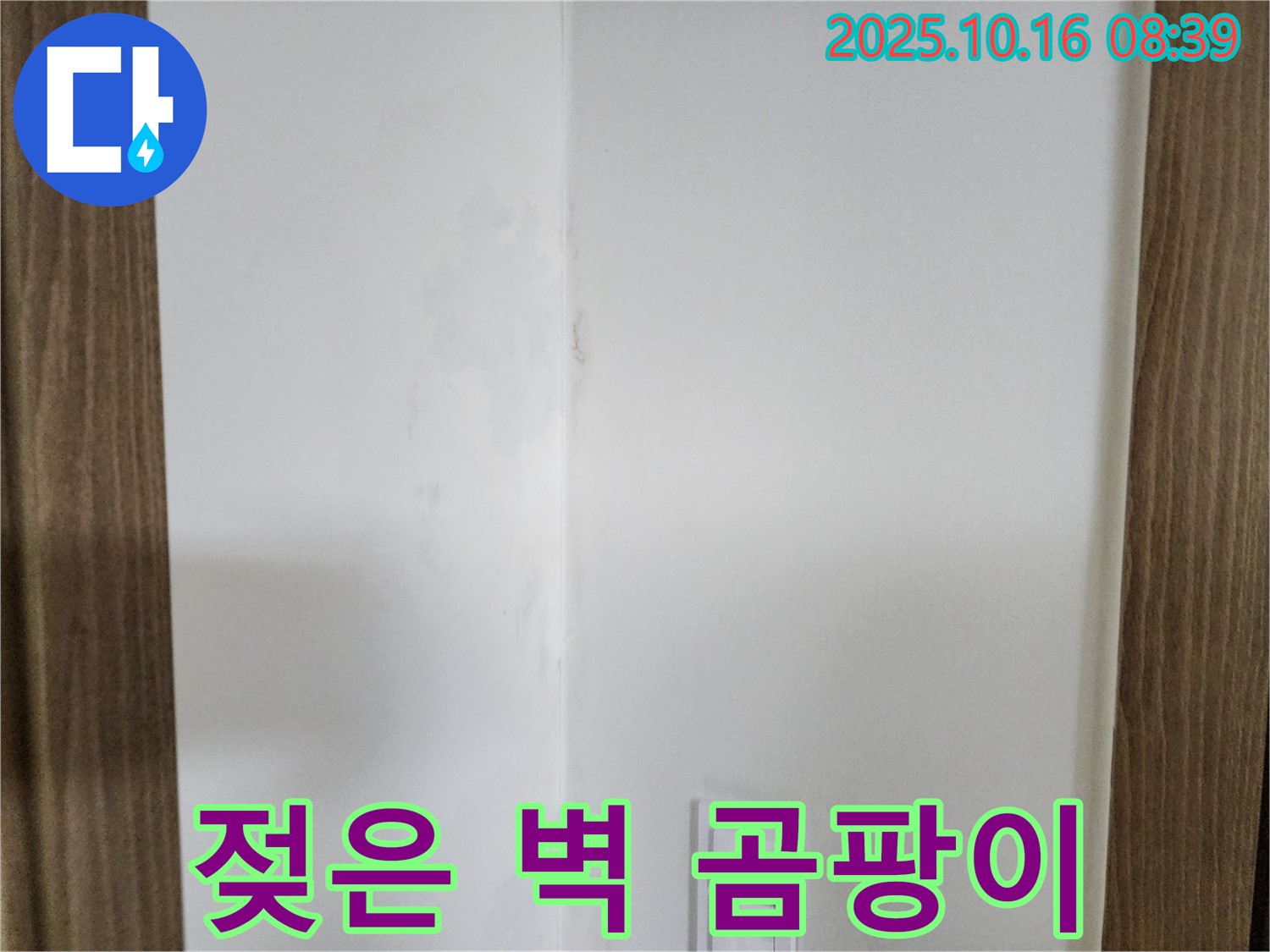 양주시 남면 주택 젖은 벽 - 곰팡이 자동 시스템 가동 중, 누수 해결 시급