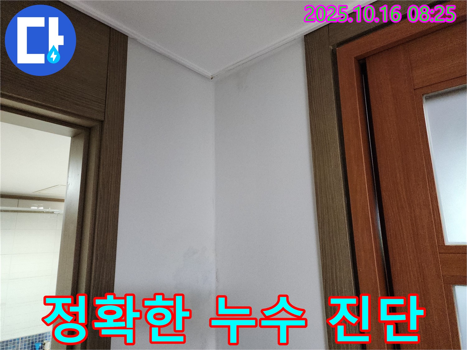 정확한 누수 진단 - 최첨단 장비와 숙련된 기술