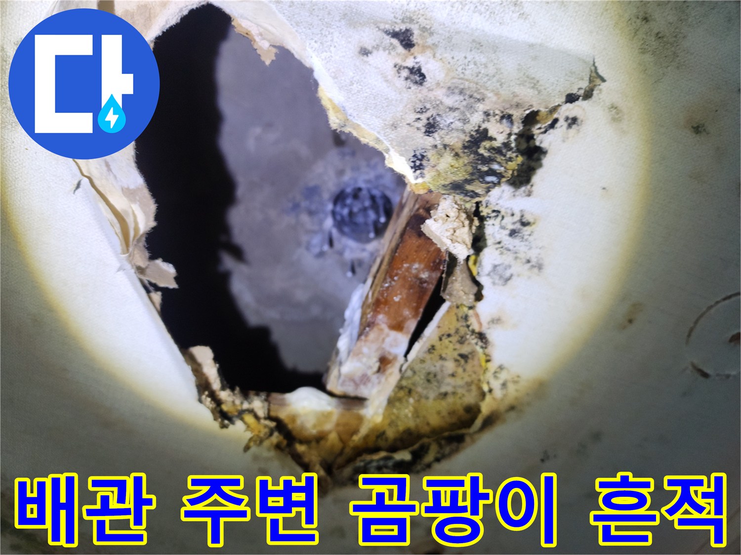 천장 절개 후 드러난 젖은 배관 연결 부위와 오염된 자재