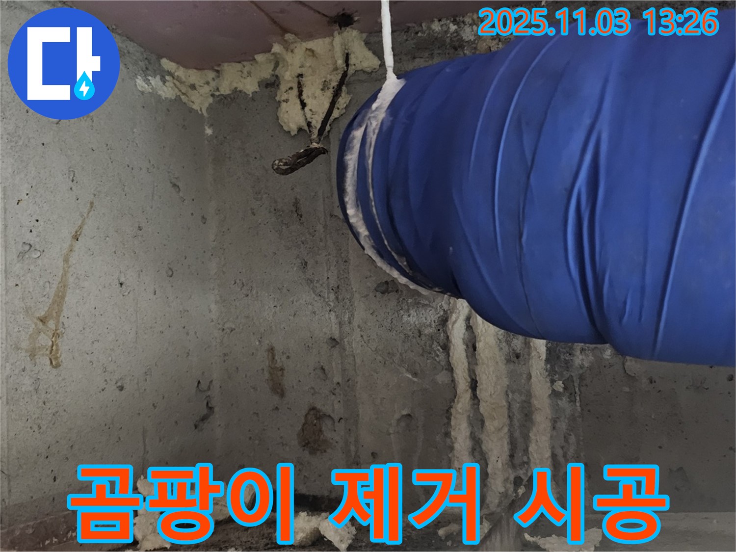 꺾임 배관 주변 곰팡이 제거 - 항균 처리로 깨끗하게