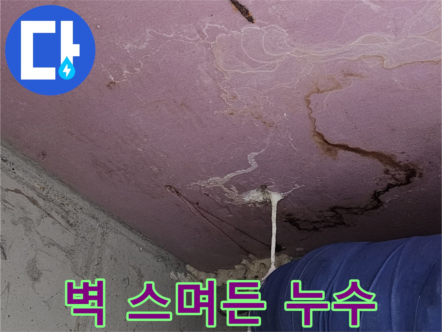 신월동 양천구 누수 - 벽에 스며든 누수, 꼼꼼 점검