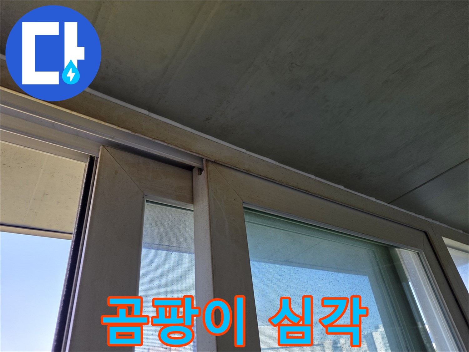 신월동 양천구 창틀 누수 - 창틀 하단 곰팡이 오염 심각