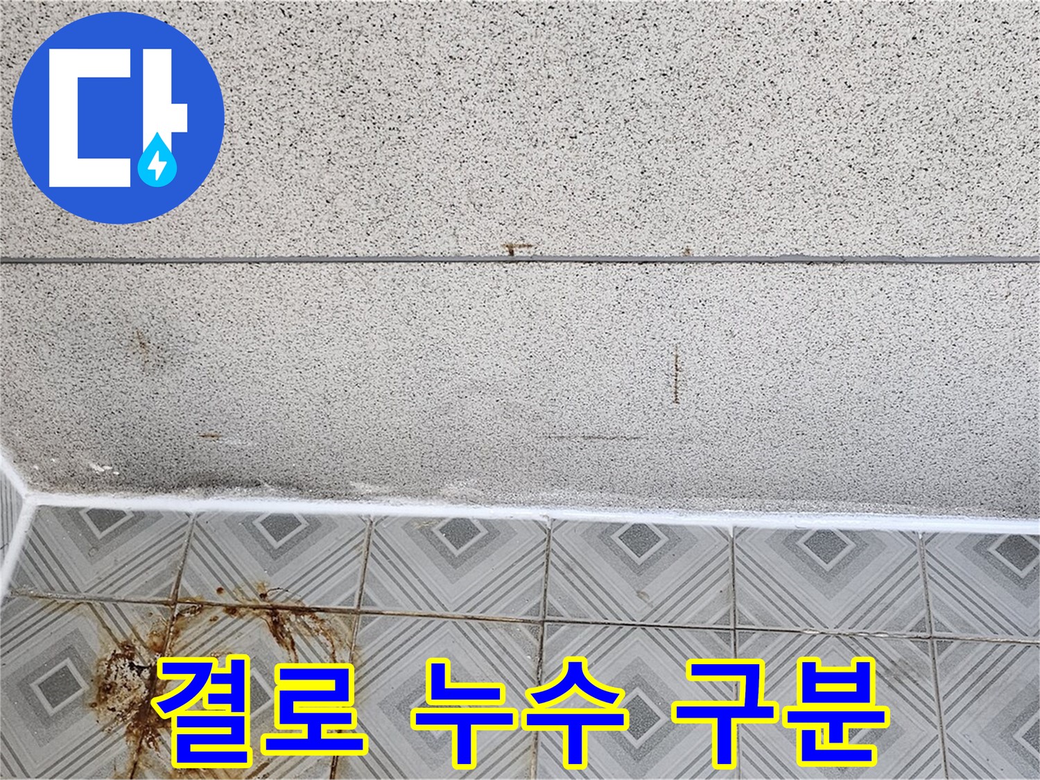양천구 결로 vs 누수 - 전문가 진단