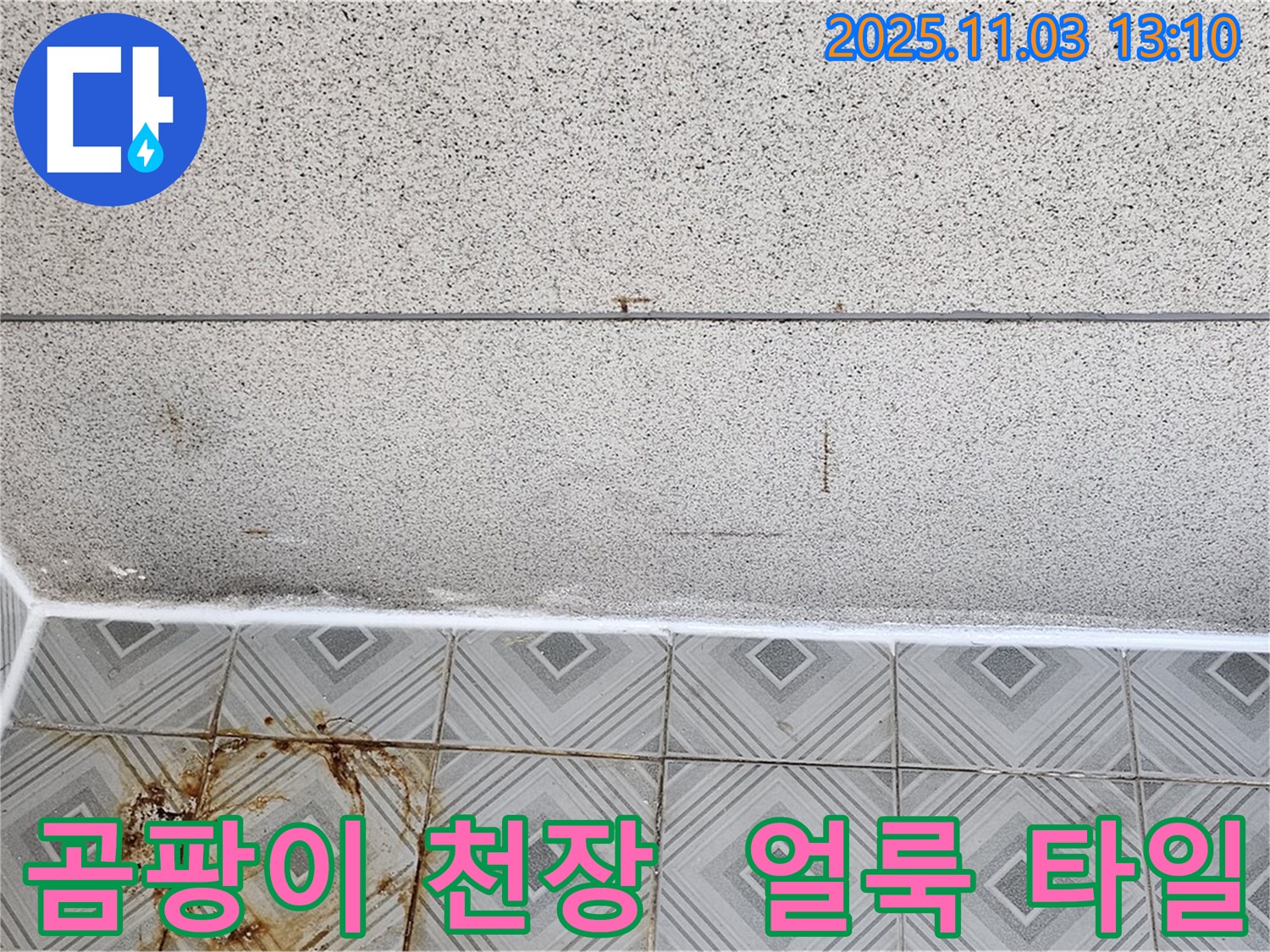 양천구 신월동 누수 - 곰팡이 핀 천장과 얼룩진 타일, 누수 문제 신속하게 해결 진행!