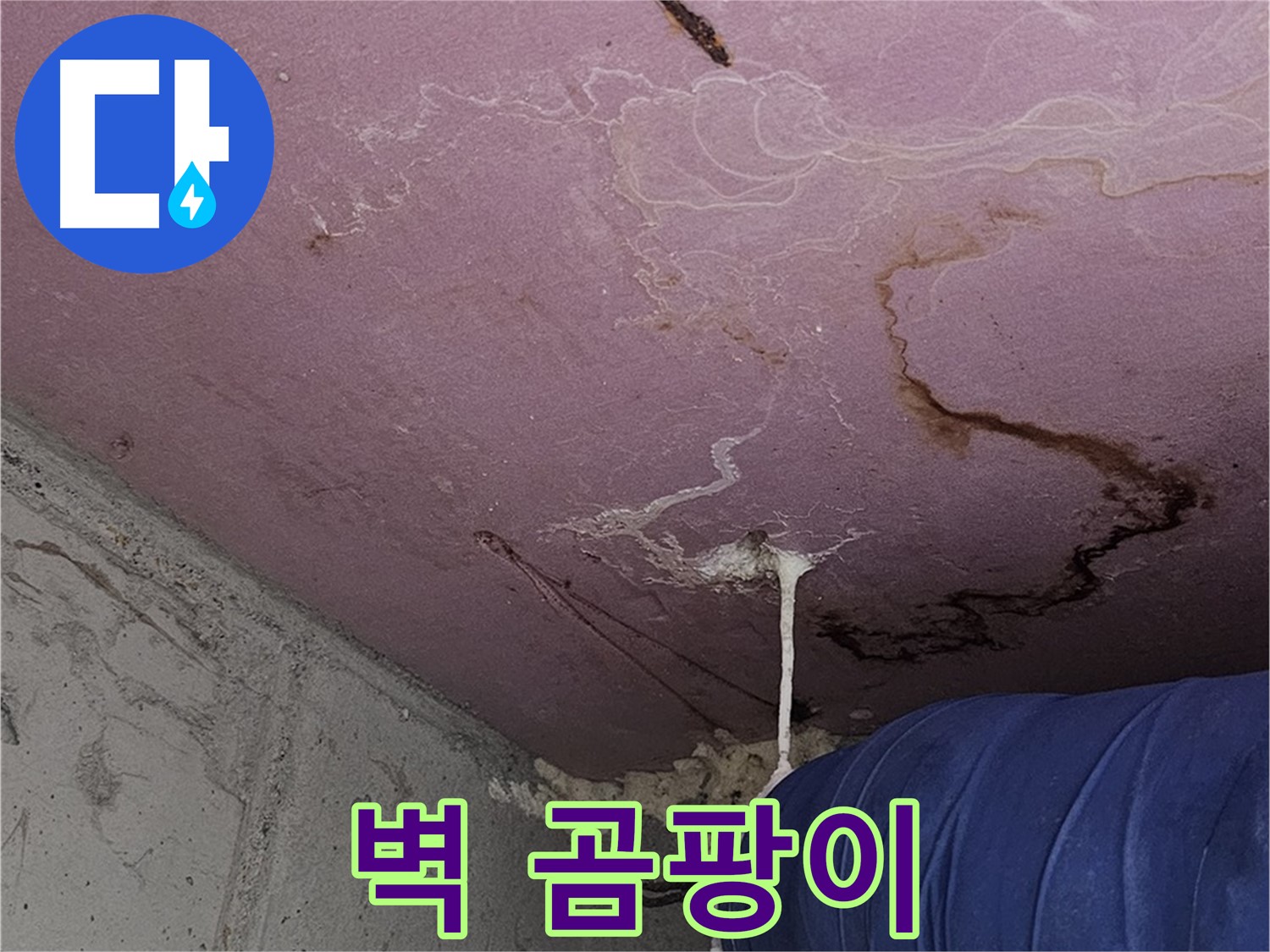 양천구 신월동 누수 - 벽에 곰팡이, 누수 해결이 먼저