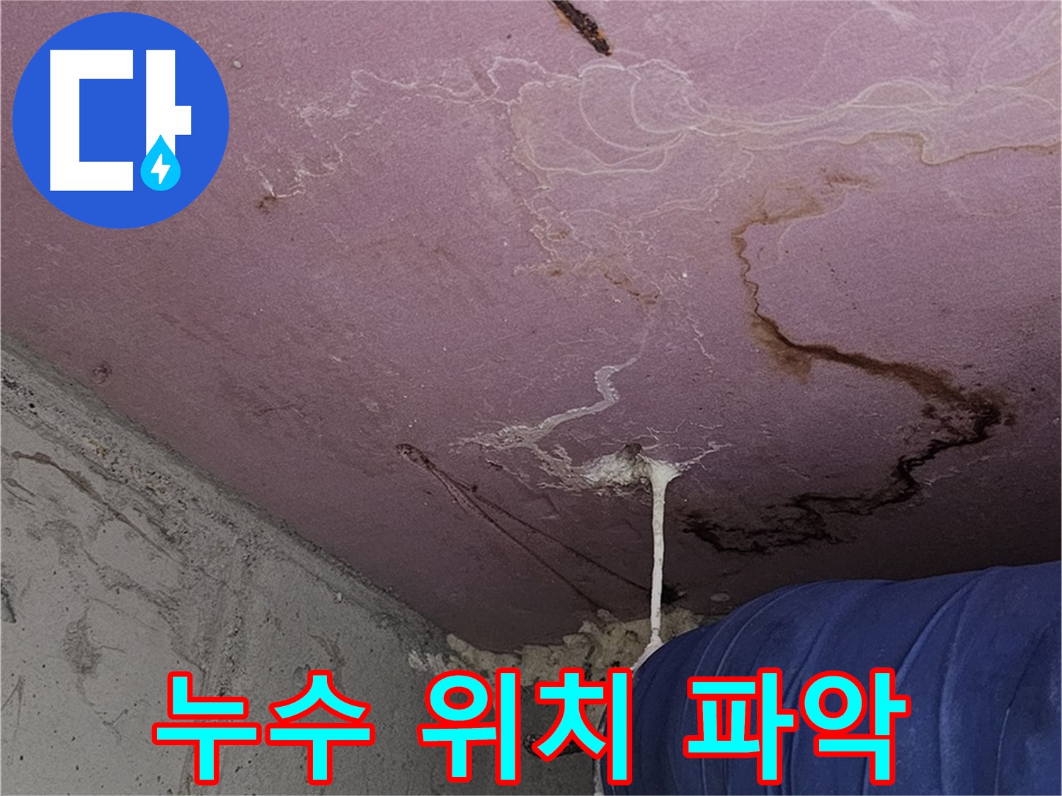 양천구 신정동 누수 - 배관 누수 진단, 정확한 위치 파악