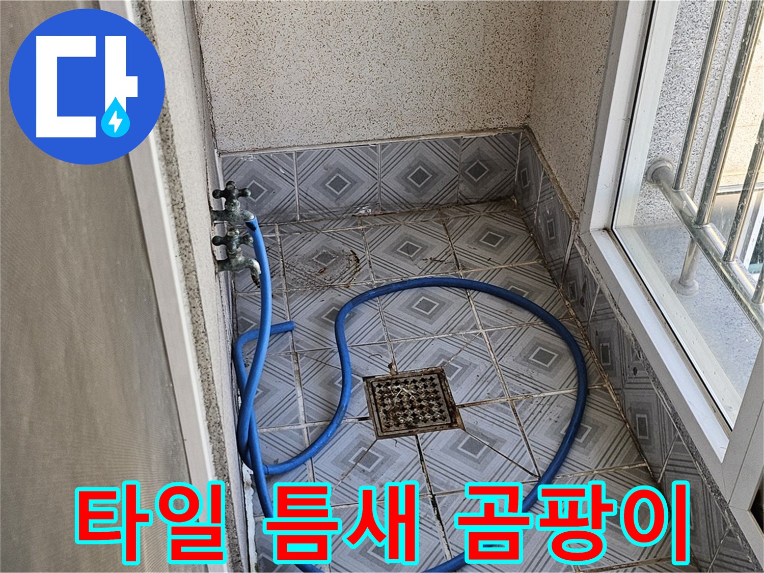 타일 틈새 검은 곰팡이 - 습기 조심
