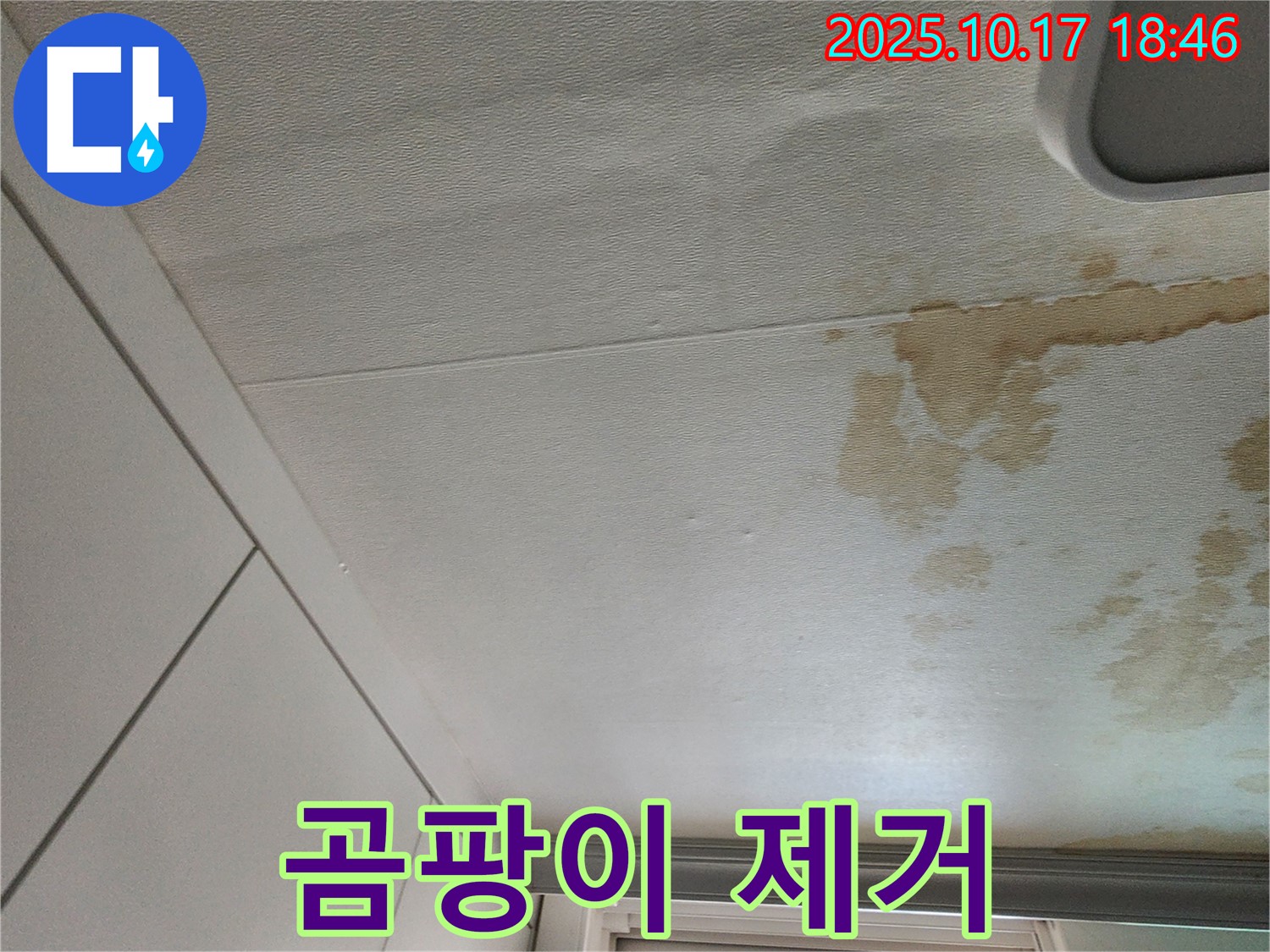 양주 남면 천장 누수 - 곰팡이 꽃 핀 천장, 누수 잡고 깨끗하게