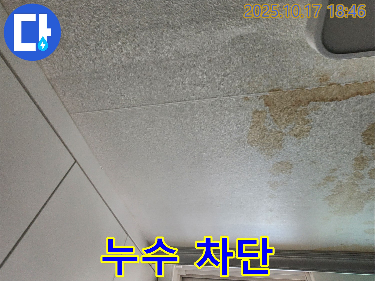 양주 남면 천장 누수 - 완벽 차단 시공