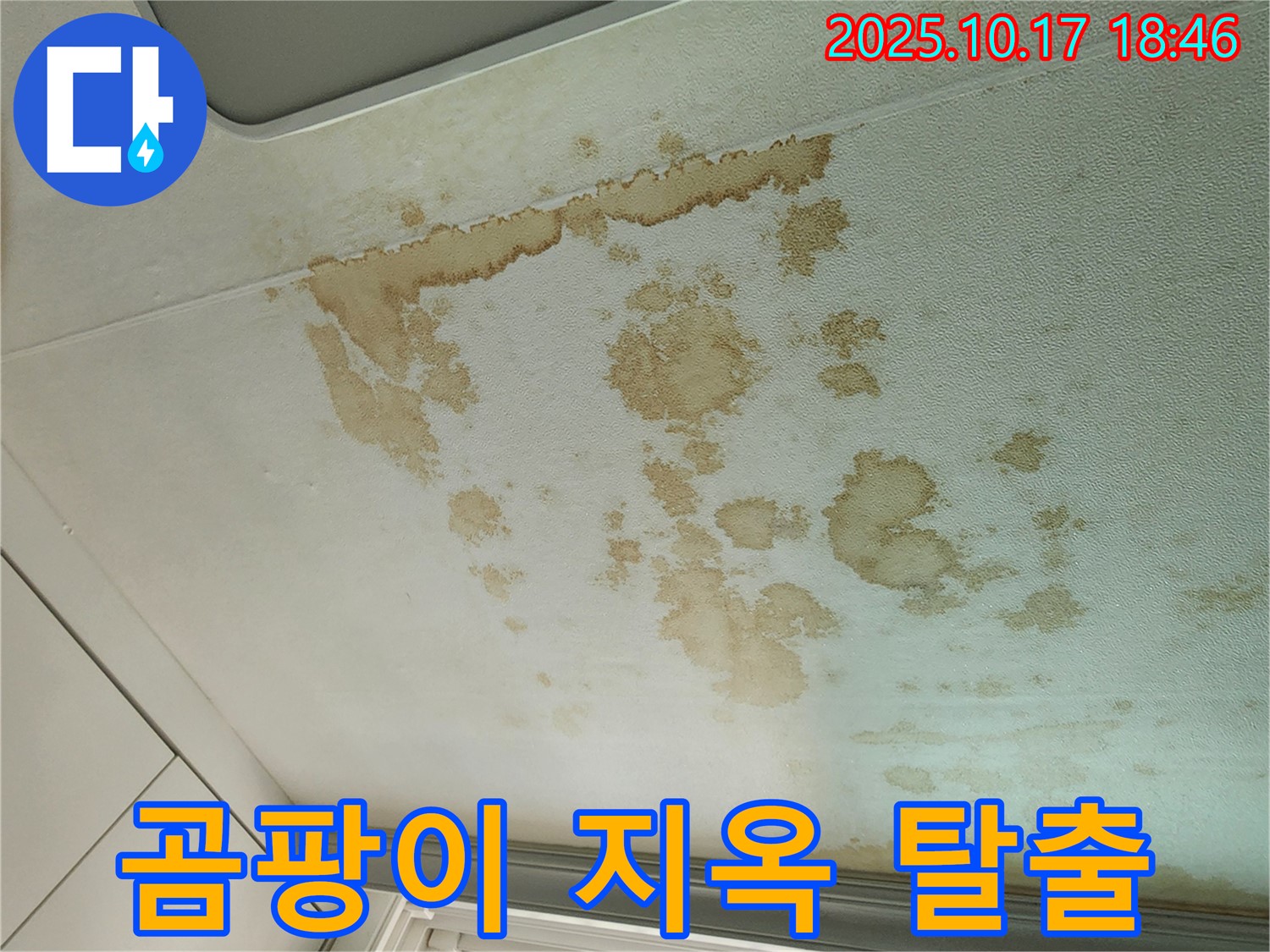 양주시 남면 누수 - 곰팡이 지옥 탈출 - 완벽 차단 시공