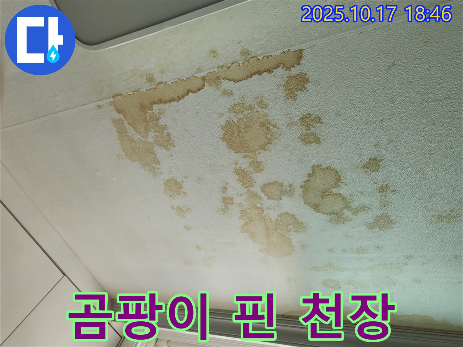 양주시 남면 상수리 - 곰팡이 꽃 핀 천장 - 누수 잡고 싹