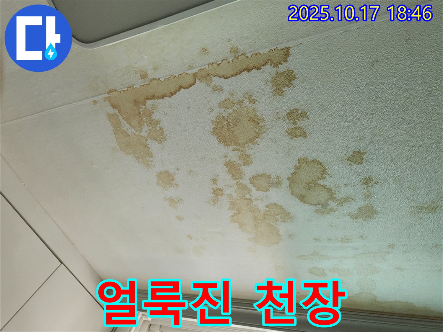 양주시 남면 상수리 - 누렇게 얼룩진 천장 - 습기와의 전쟁! 곰팡이 OUT!