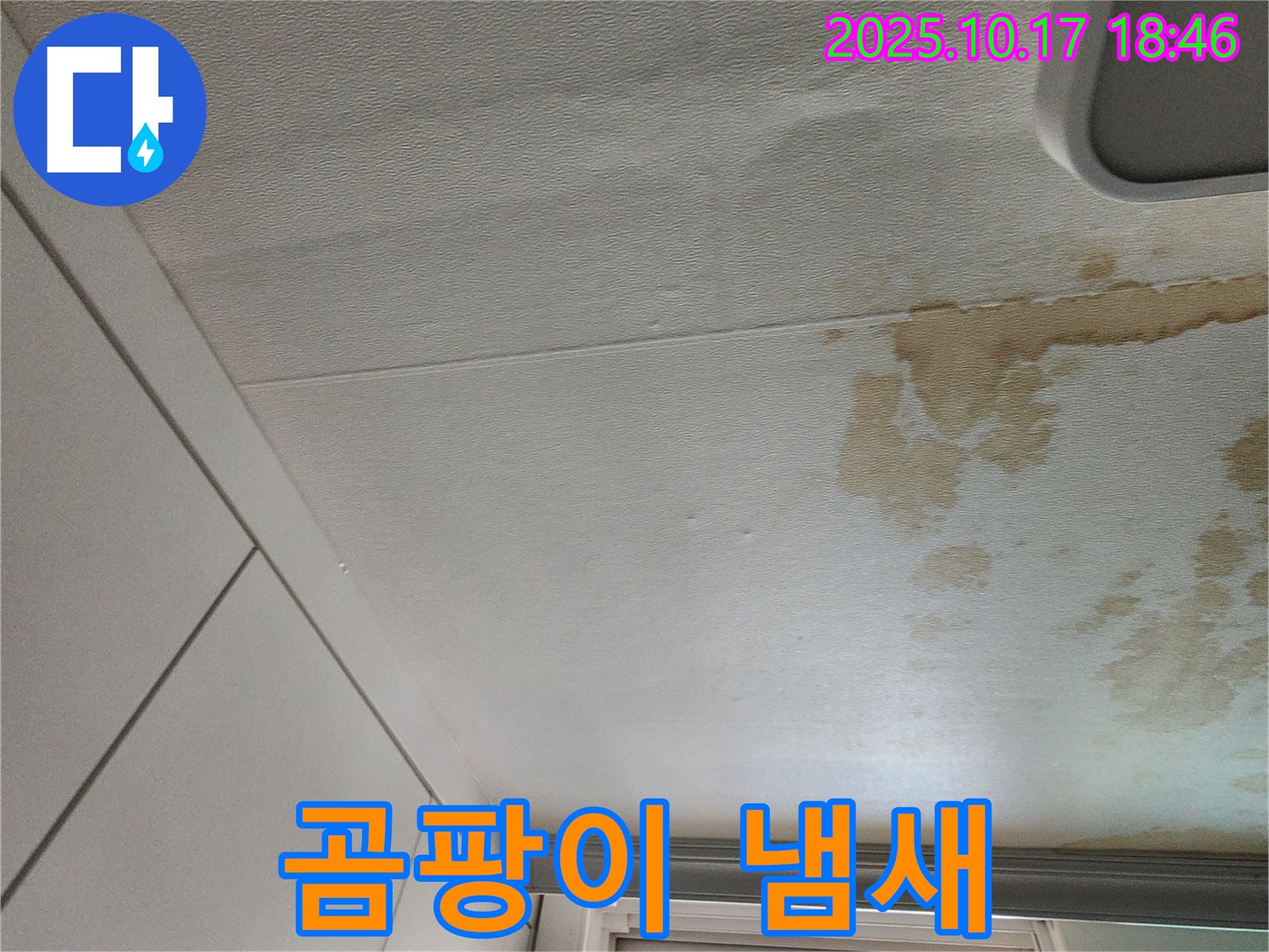 양주시 상수리 천장 누수 - 곰팡이 냄새 싹 잡아드립니다