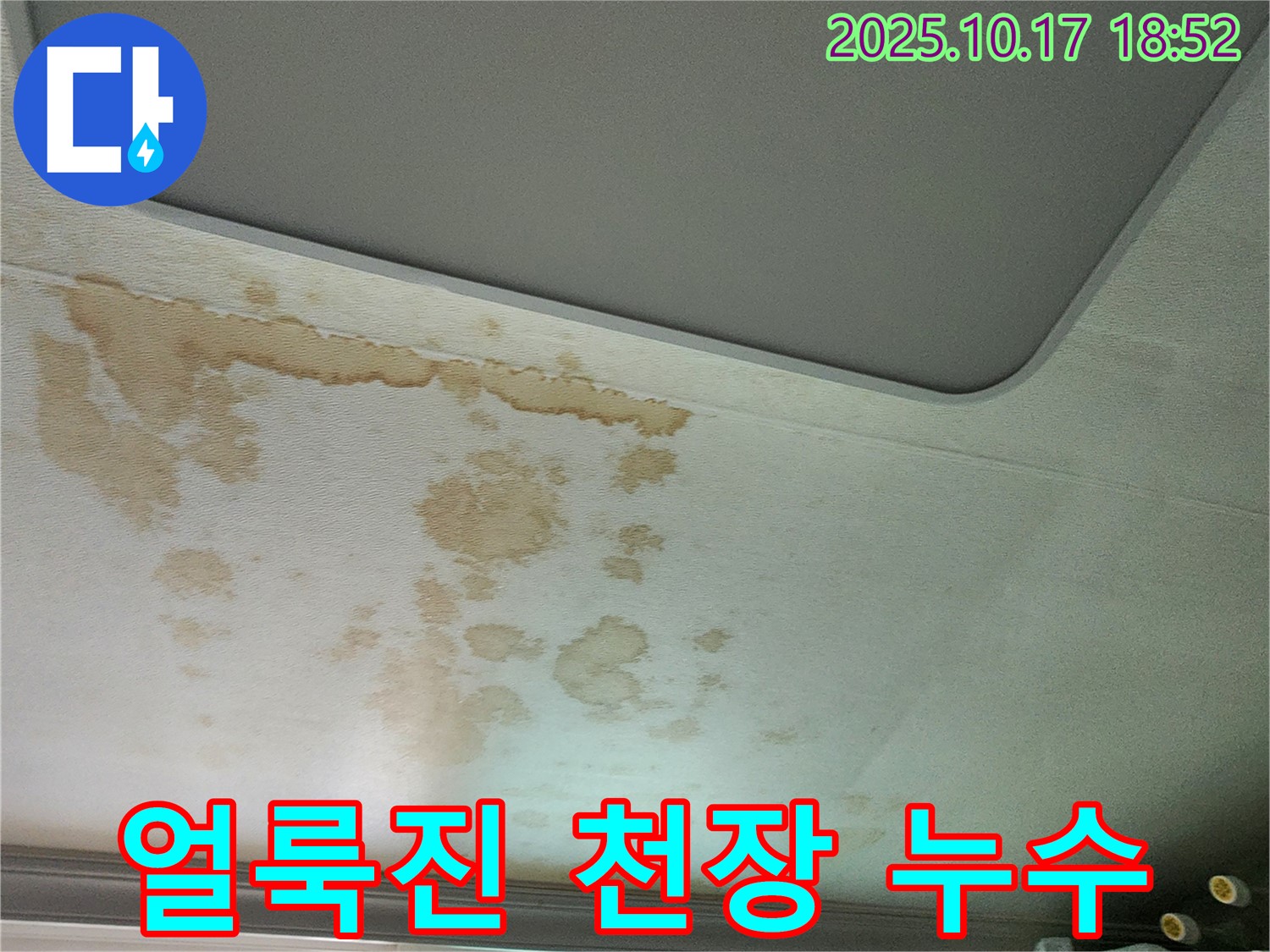 얼룩진 천장 누수 - 미관 손상 - 곰팡이 위험