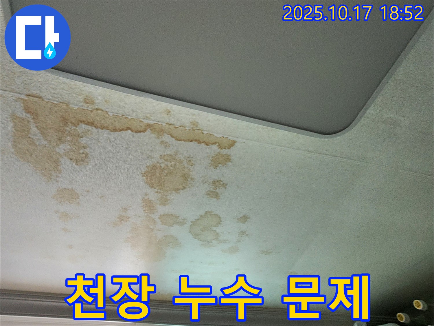 천장 누수 문제 - 해결 필요 - 전문가 상담