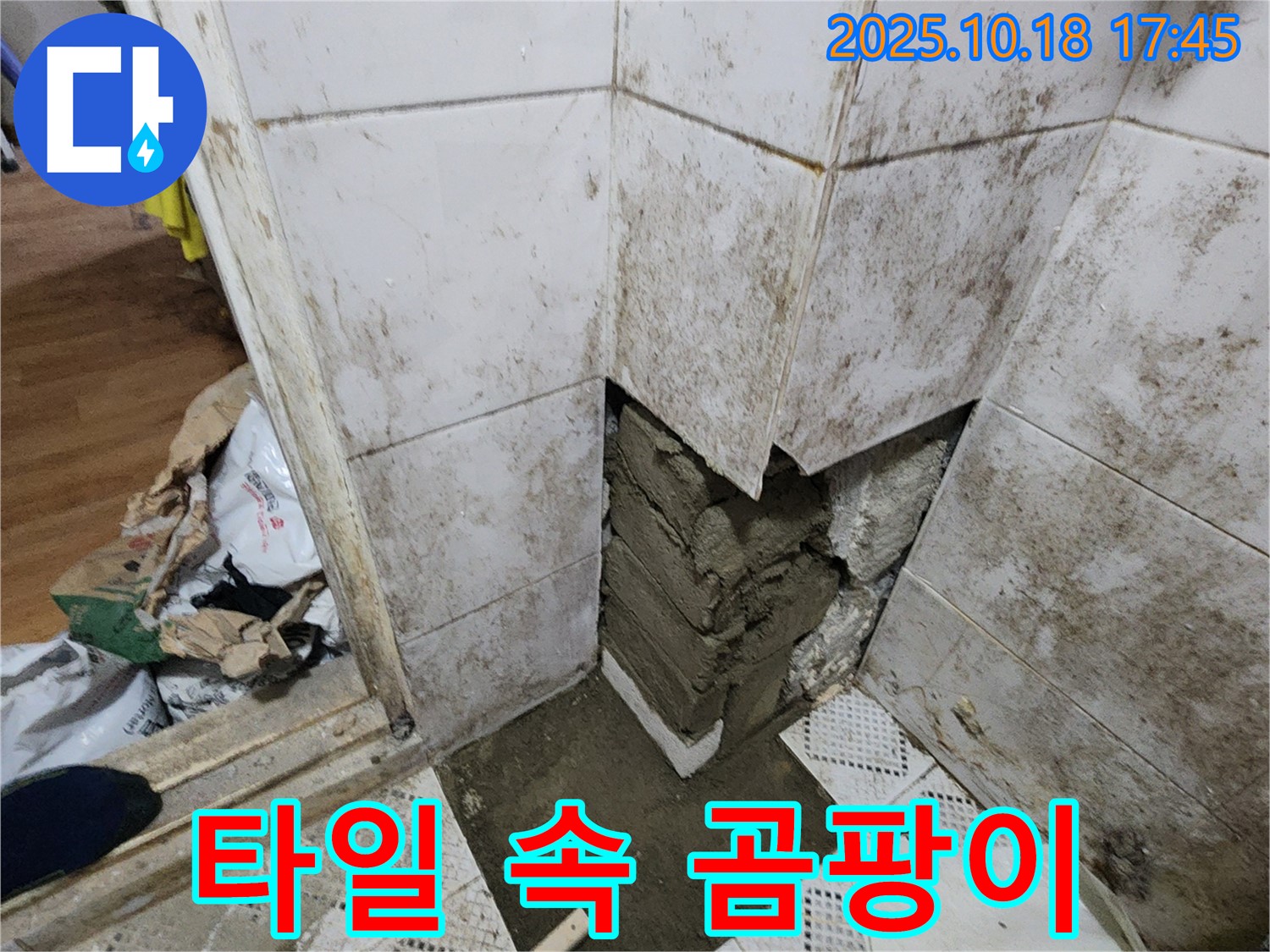 양주시 장흥면 교현리 누수 - 타일 속 곰팡이와 습기