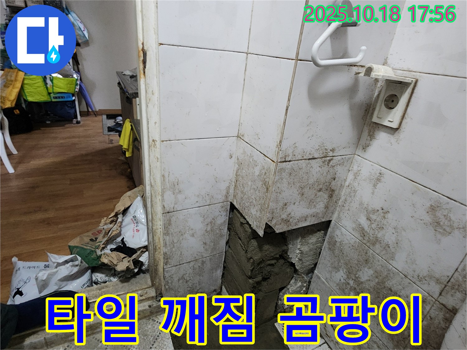 양주시 장흥면 누수 - 타일 깨짐과 곰팡이, 욕실 전체 누수 공사
