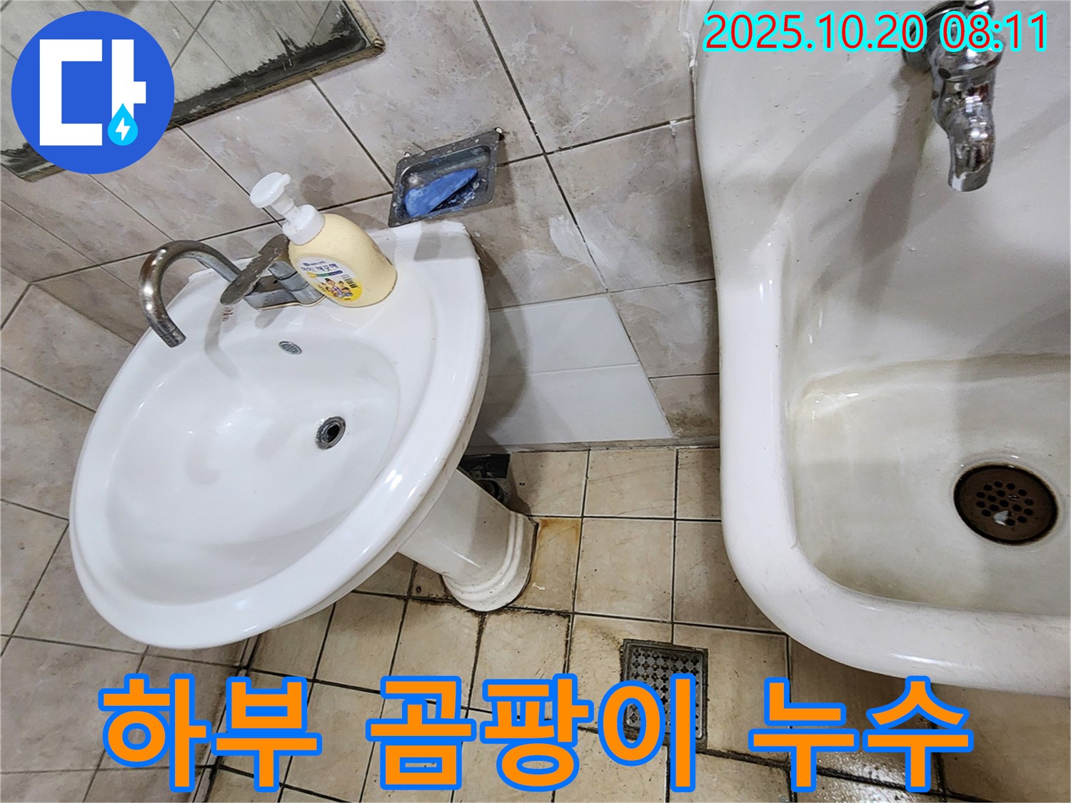 양주 장흥면 석현리 - 세면대 하부 곰팡이 - 곰팡이 제거와 누수 해결!