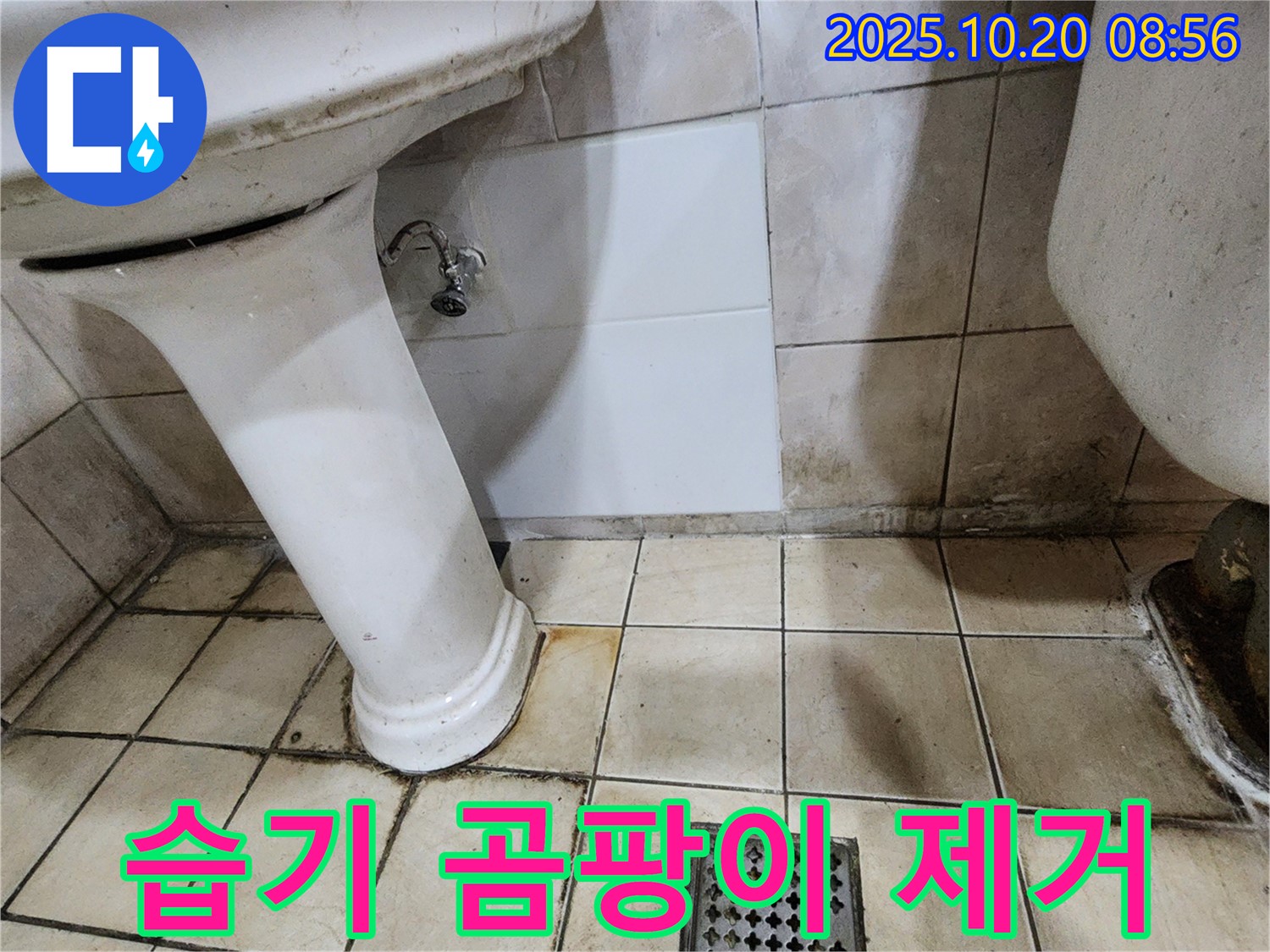 양주시 장흥면 석현리 - 세면대 하부 공간 습기 및 곰팡이 제거 시공 - 쾌적한 환경 조성