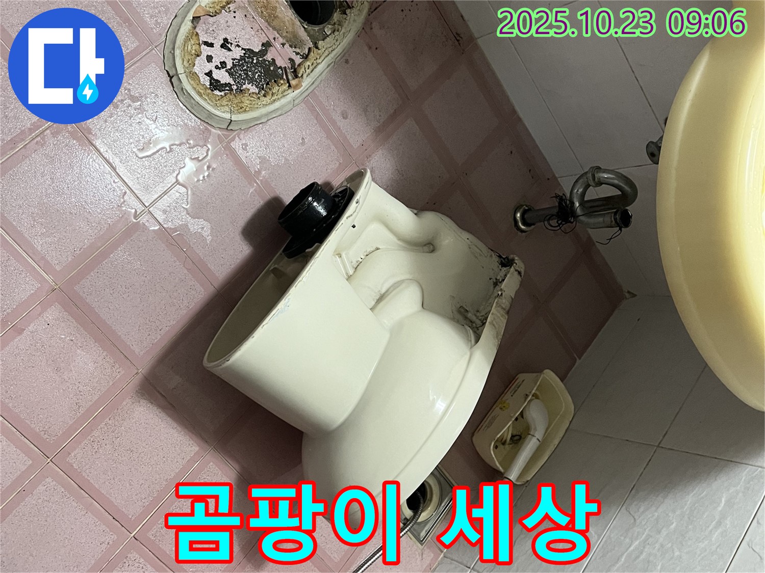 금천구 독산동 - 곰팡이 세상, 긴급 청소!