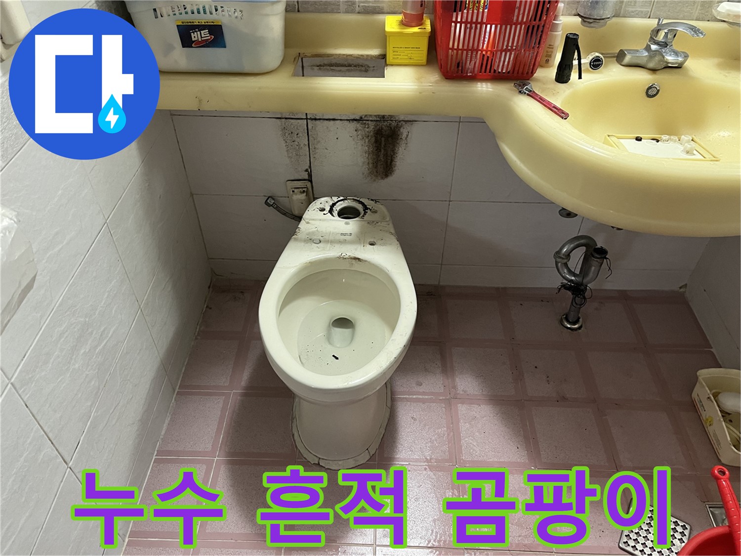 금천구 독산동 형제빌 변기 누수 - 곰팡이와 악취 문제