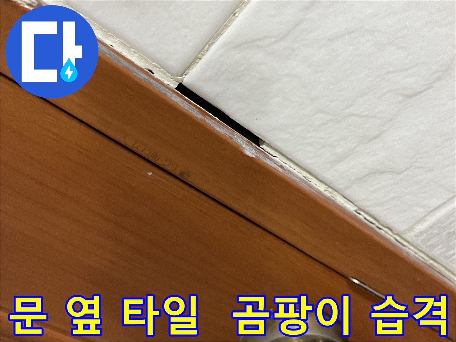 문 옆 타일 틈새에 곰팡이가 심하게 핀 모습 - 누수 비상사태 발생!