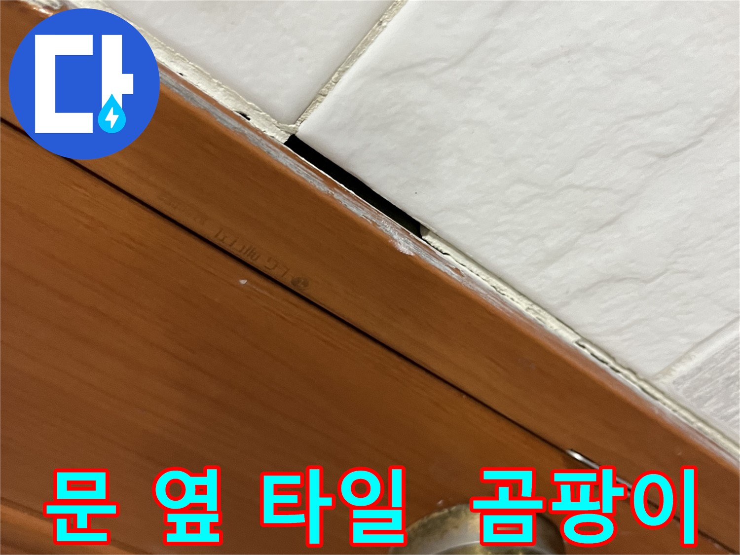 문 옆 타일에 곰팡이가 핀 모습 - 누수 적신호가 켜졌습니다