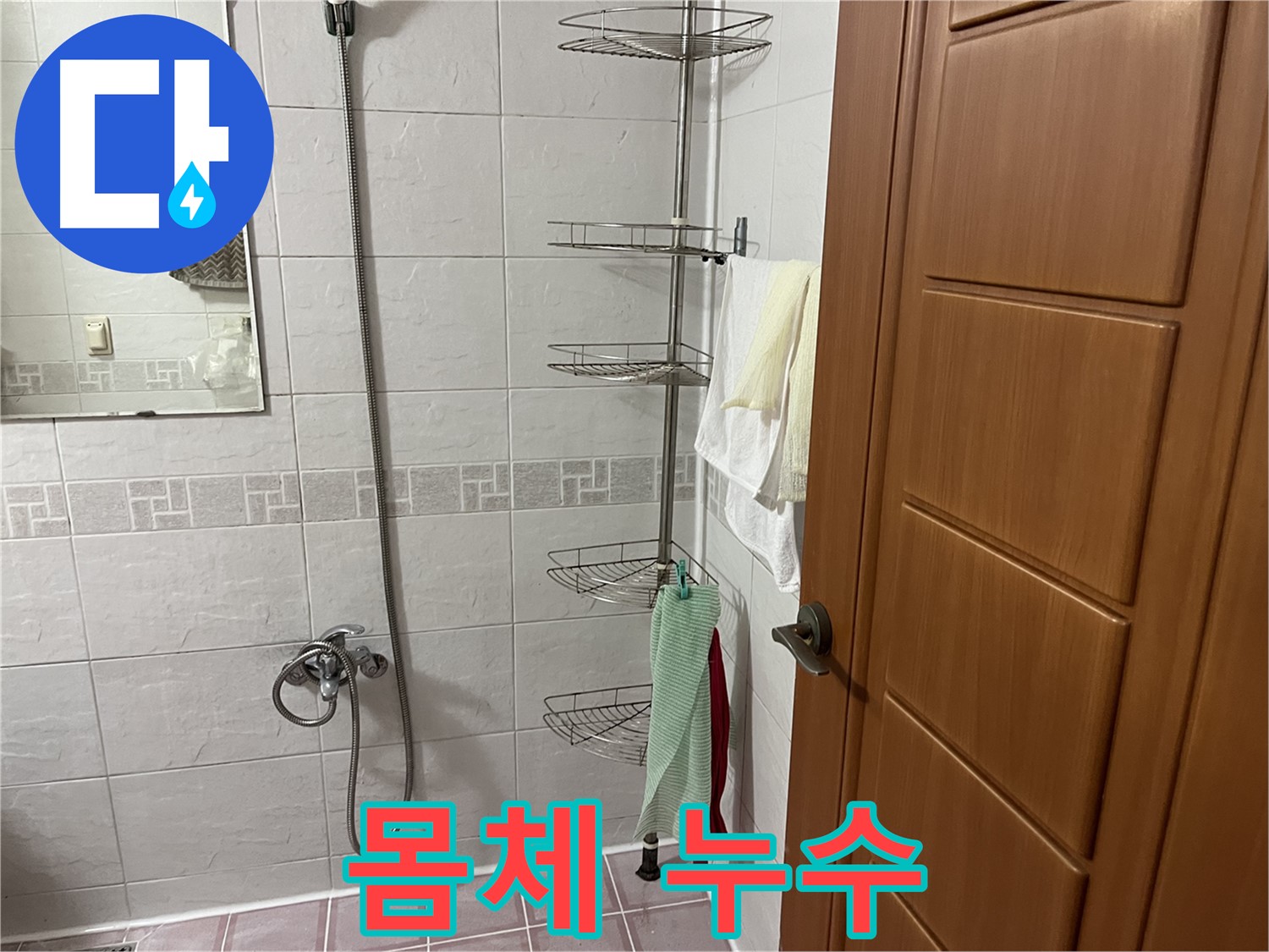 샤워기 몸체 균열 - 몸체 교체 및 연결 부위 점검
