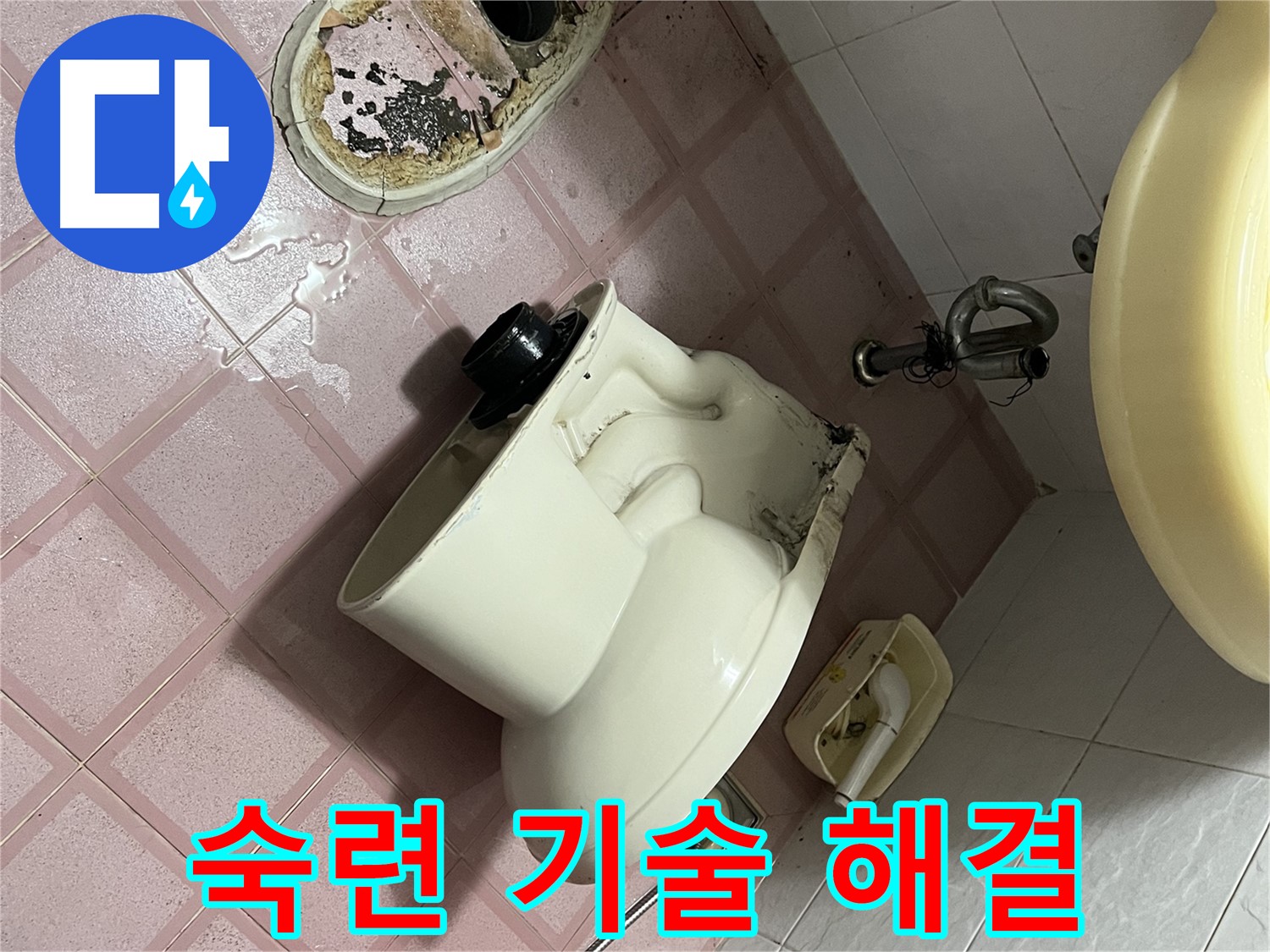 숙련된 기술로 변기 문제 해결 - 독산동 형제빌