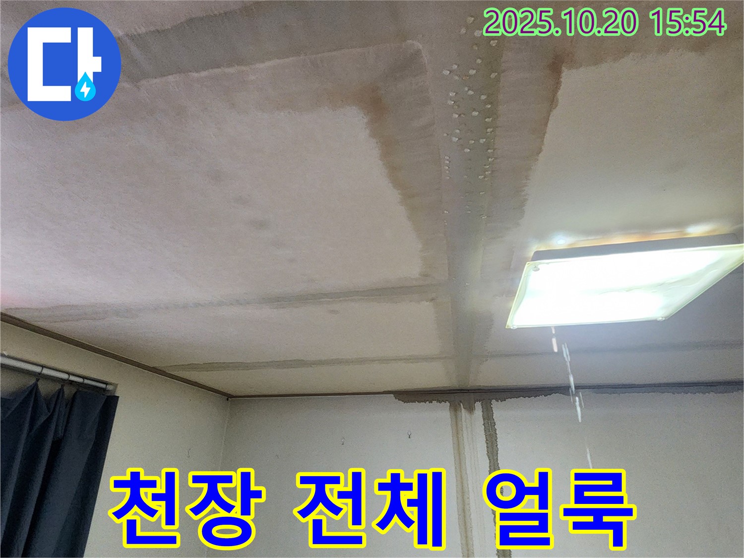 양주시 장흥면 부곡리 천장 전체 얼룩 - 심각한 누수 의심