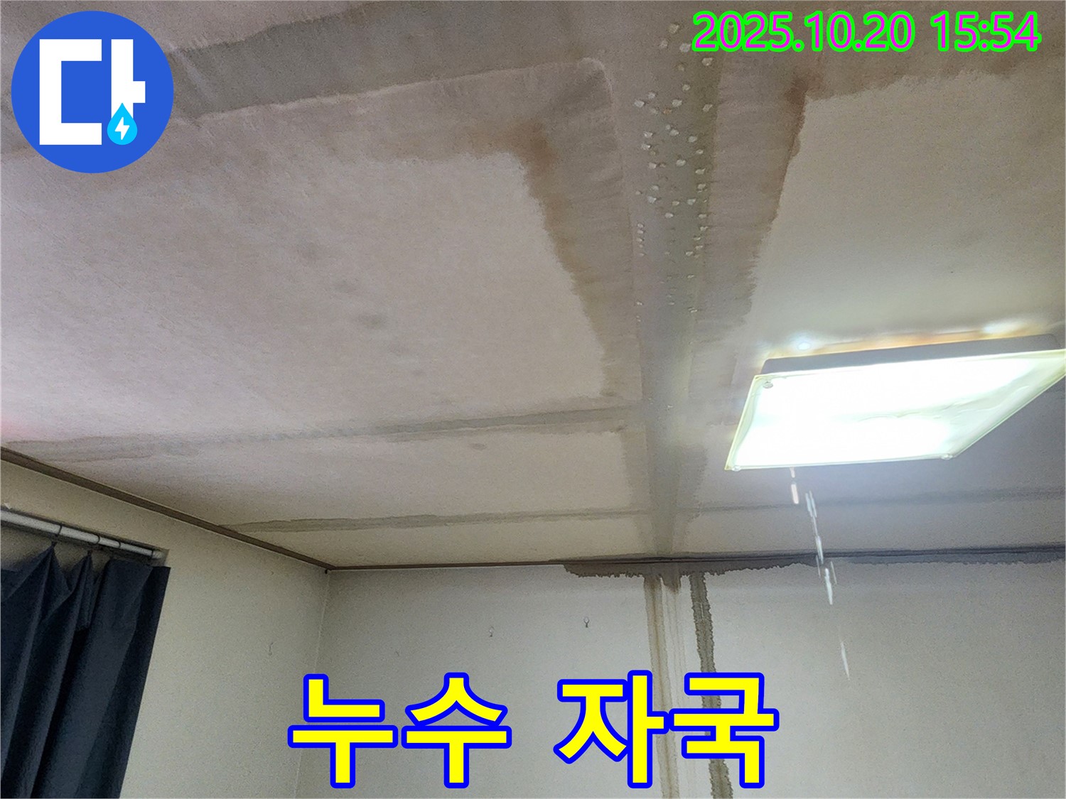 양주시 장흥면 천장 누수 자국 - 곰팡이 발생 가능성 높음
