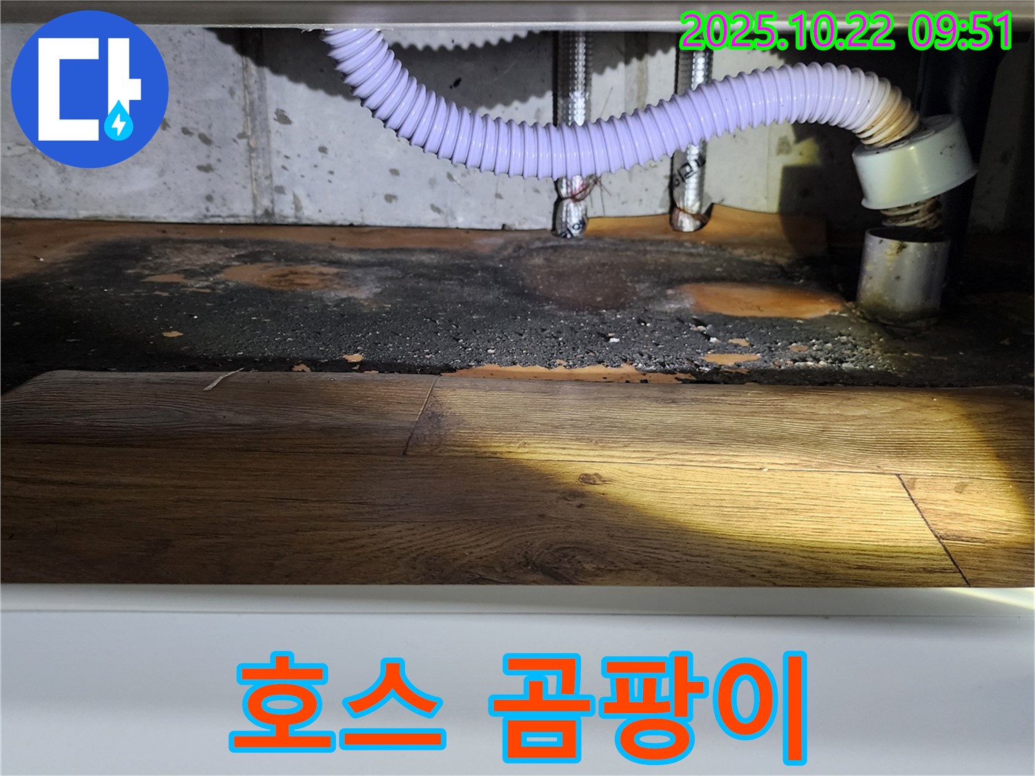싱크대 배수 호스 주변 곰팡이 - 누수와 위생 문제 동시 발생