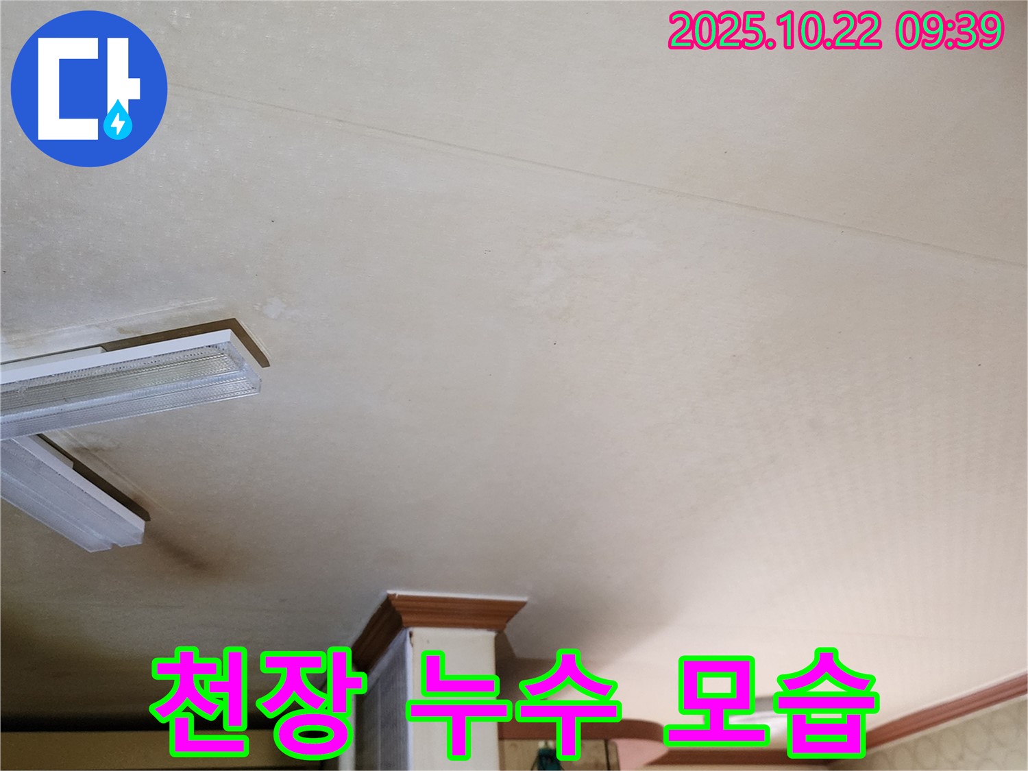 양주 천장 누수 - 누수 발생 부위 상세 촬영