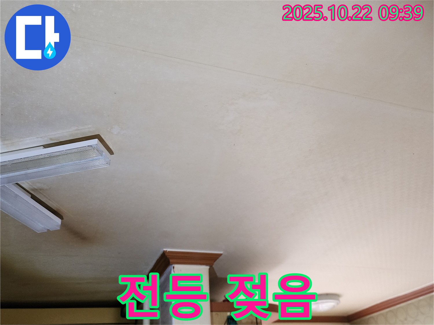 양주 천장 누수 - 전등 주변 젖음, 감전 위험