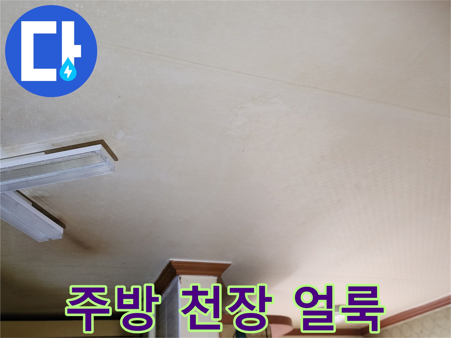 천장 표면에 나타난 누수 흔적과 곰팡이 발생 부위