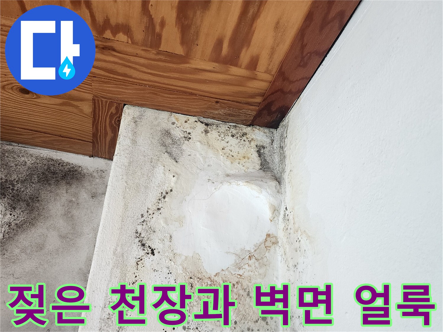 물기에-젖어-변색된-천장-목재와-곰팡이-핀-벽면