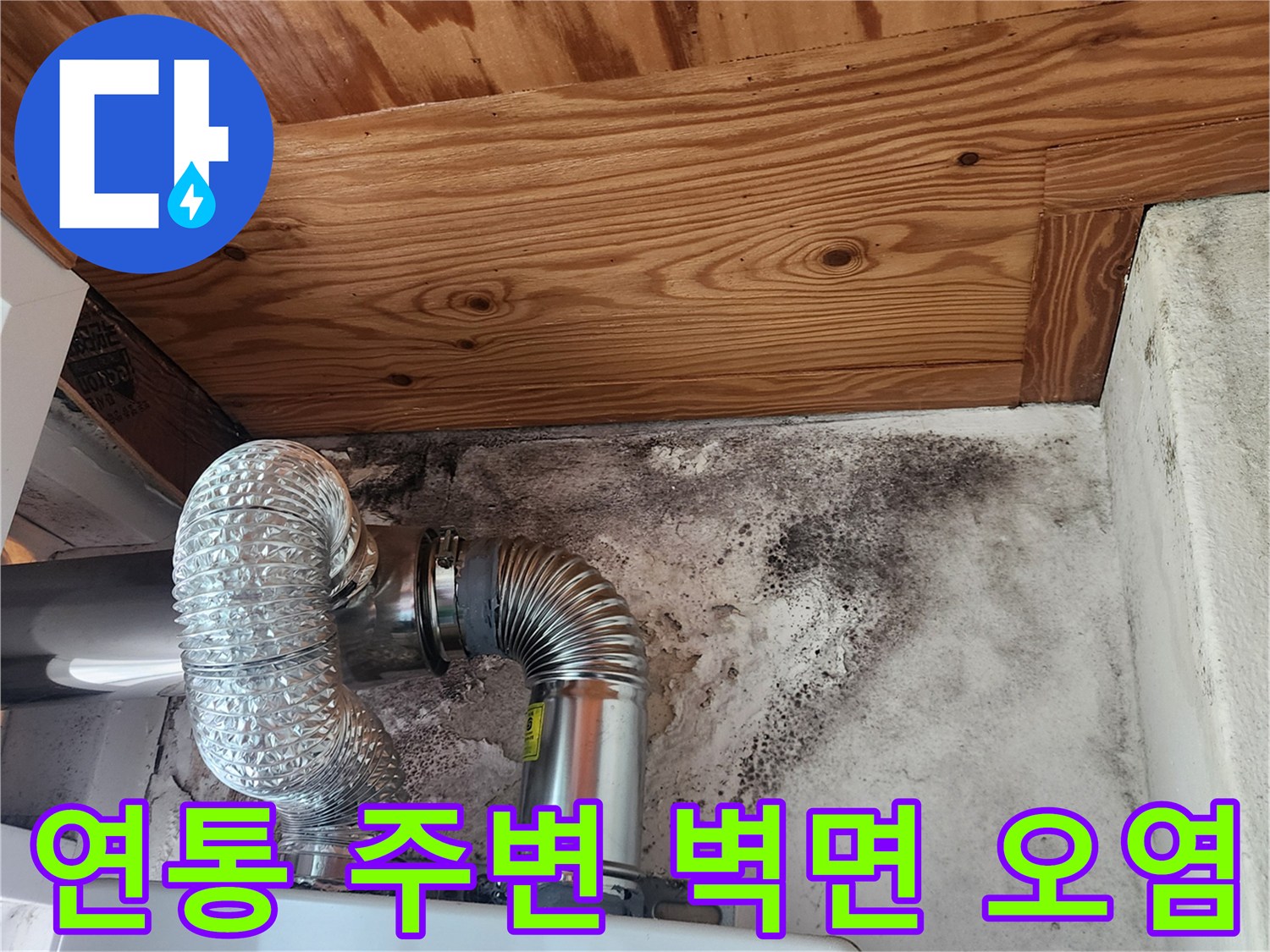 보일러-연통-하단-벽면의-심한-곰팡이와-습기-침투