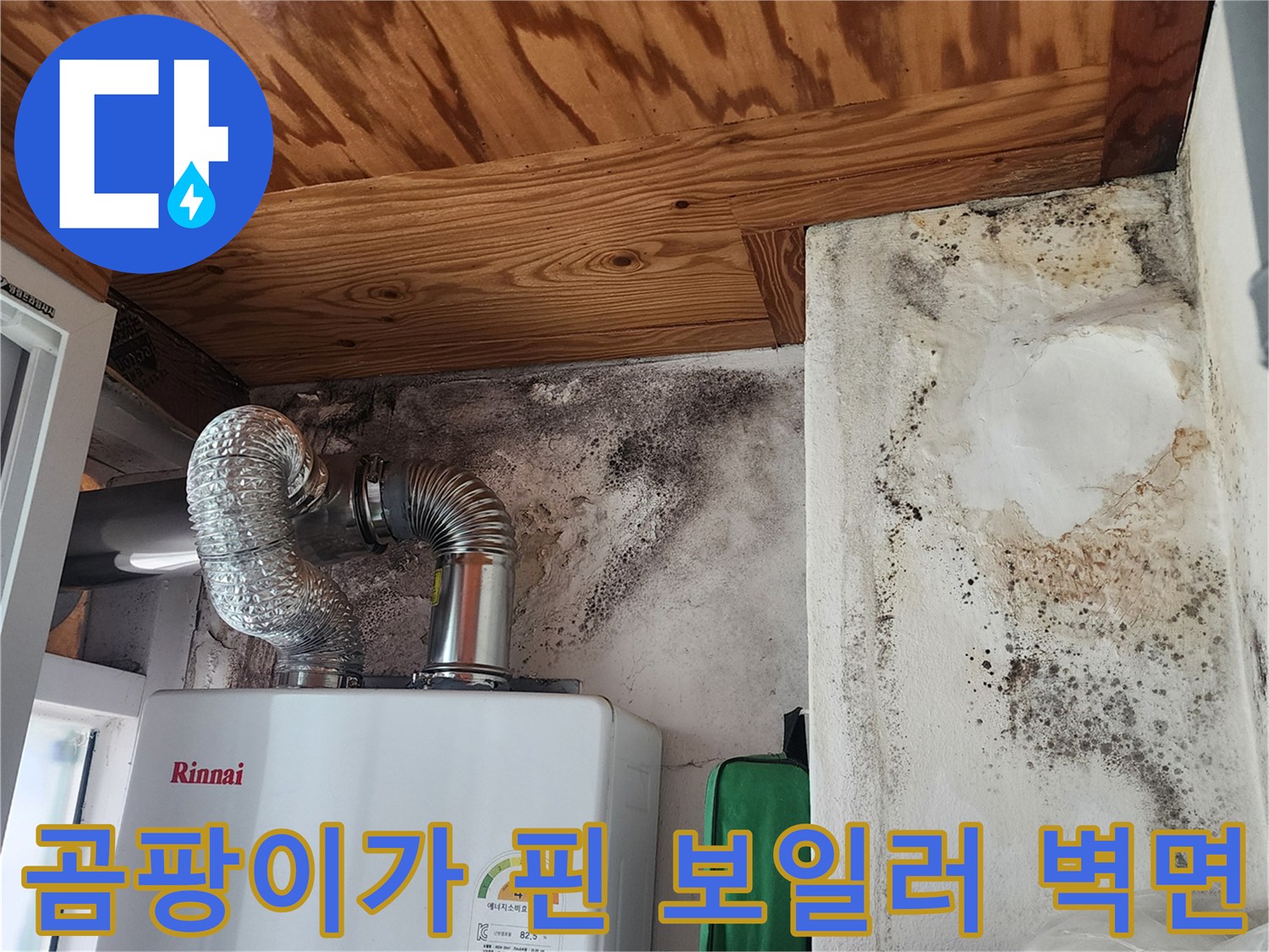 습기와 곰팡이로 오염된 보일러실 내부 모습