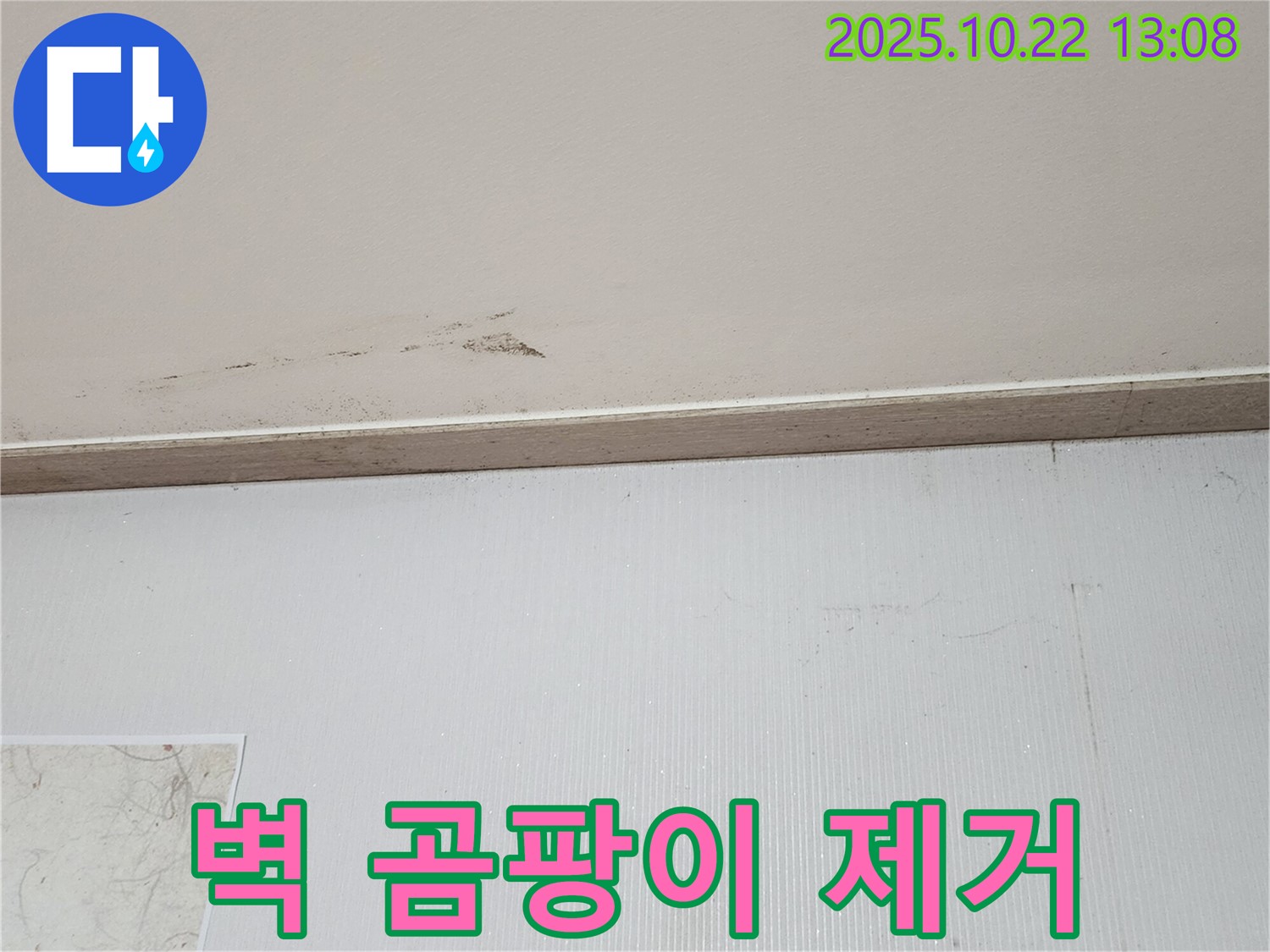양주시 은현면 벽 누수 - 곰팡이 제거 작업