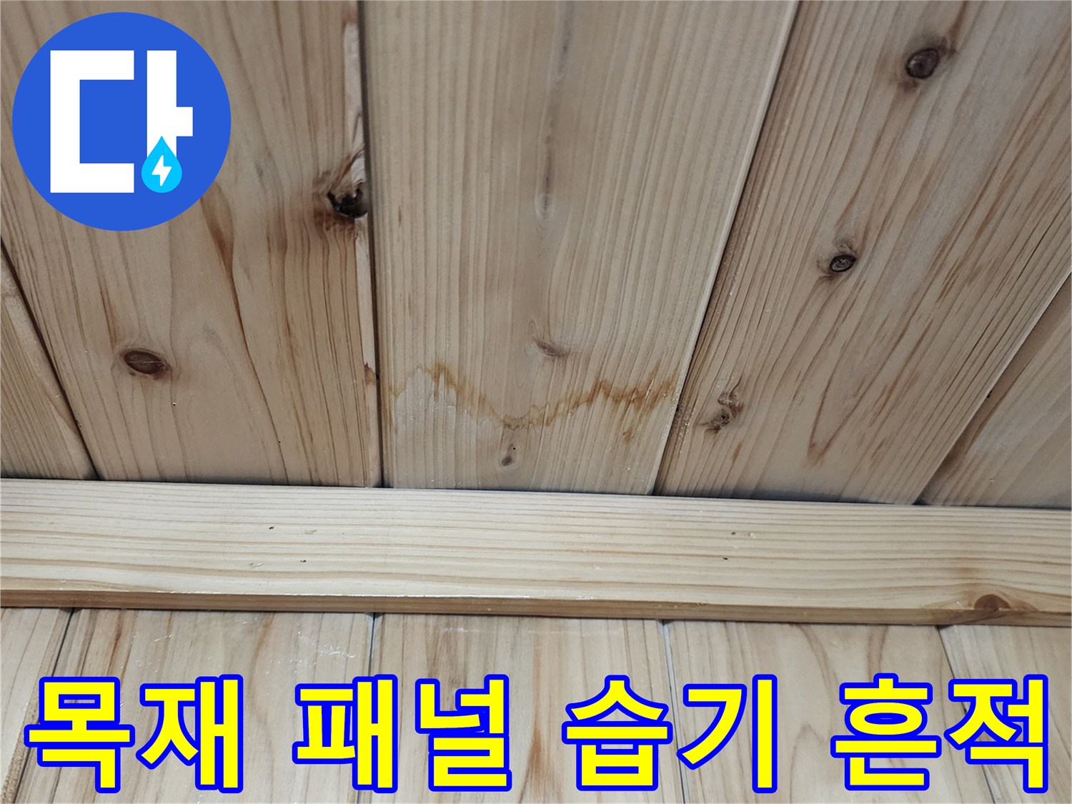 천장-나무-판재-사이-습기-스며든-상태