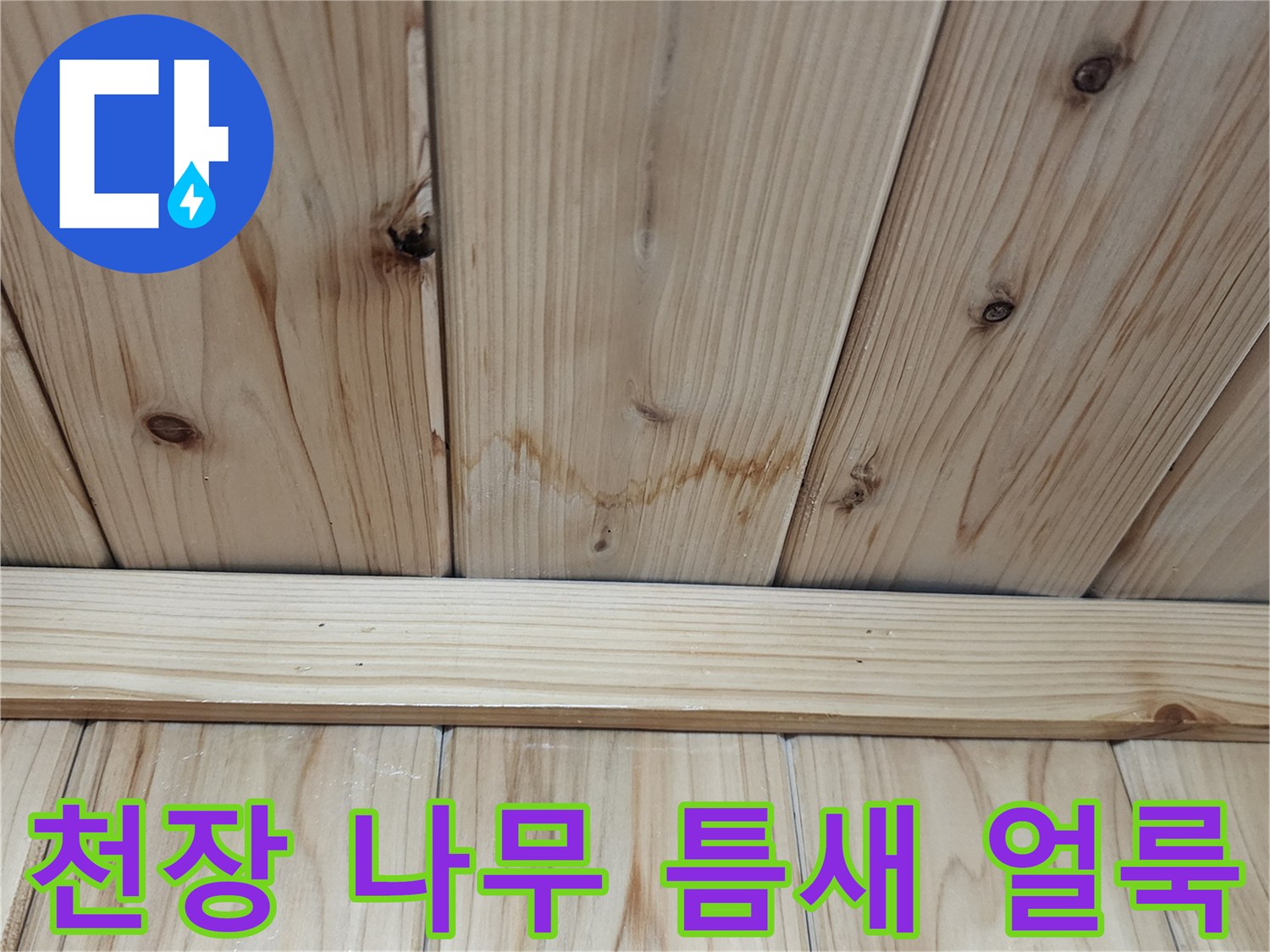 천장-목재-패널-사이의-누수-얼룩