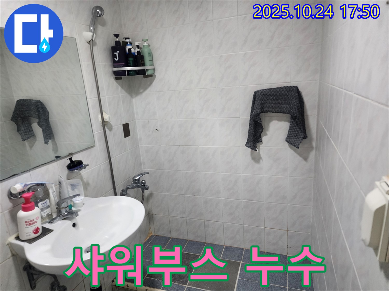 샤워부스 주변 누수 - 전문적인 누수 진단