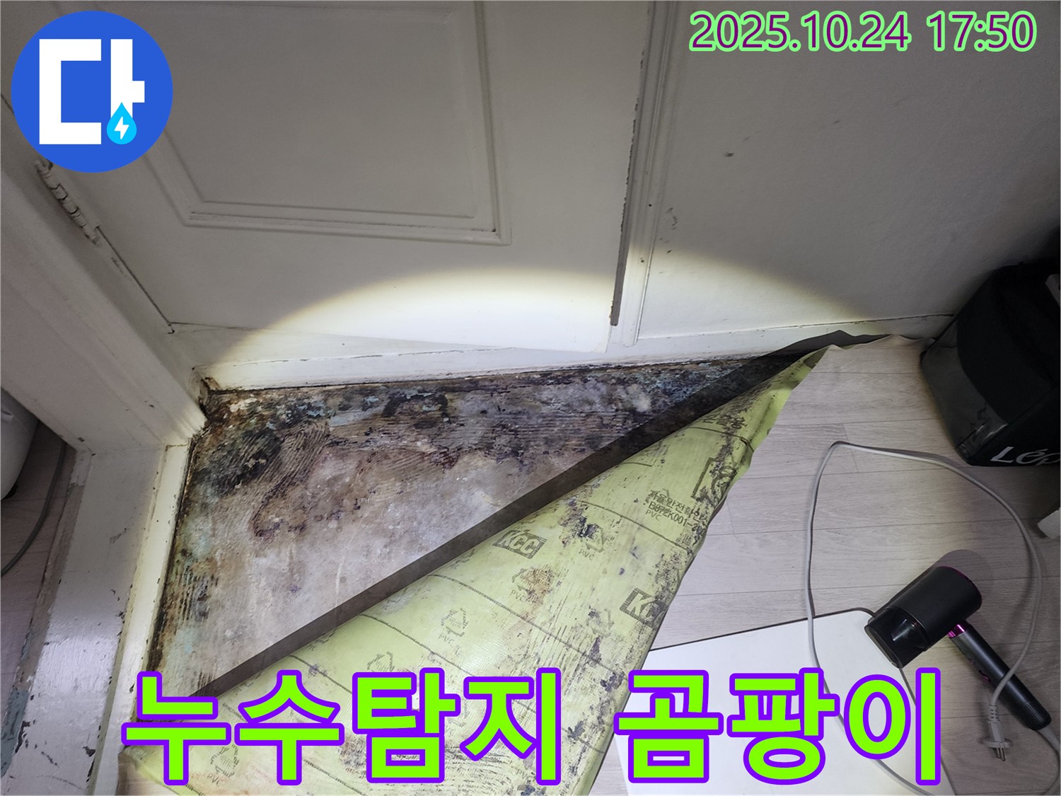 서초 누수탐지 전문 - 양재동 화장실 누수와 곰팡이 문제 해결 사례