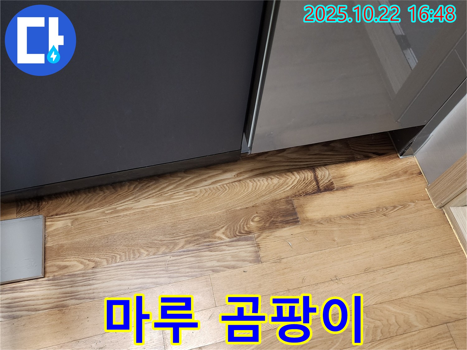 싱크대 밑 마루 곰팡이 - 습기 - 곰팡이 제거