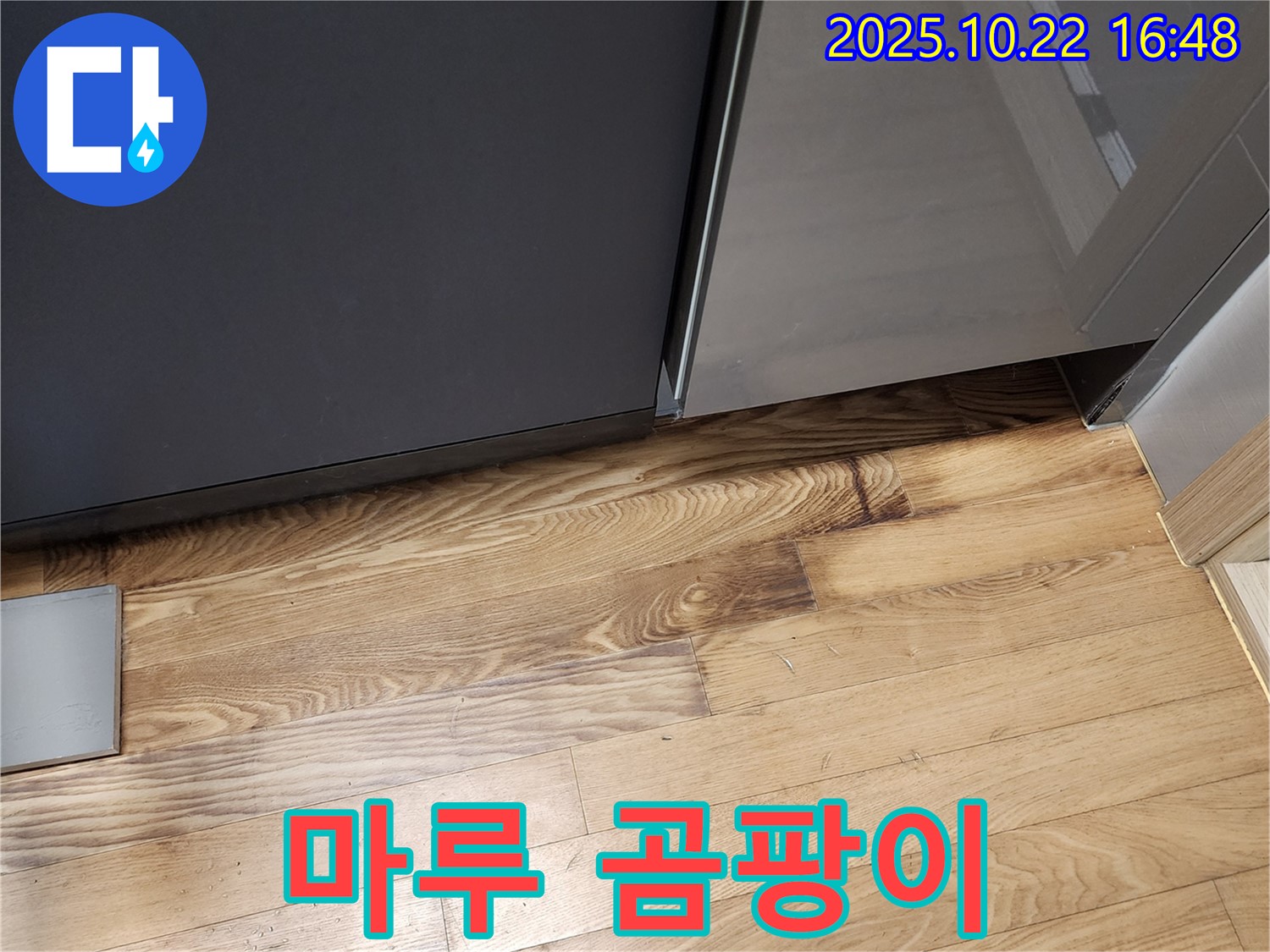 싱크대 주변 마루 곰팡이 - 습기 - 악취